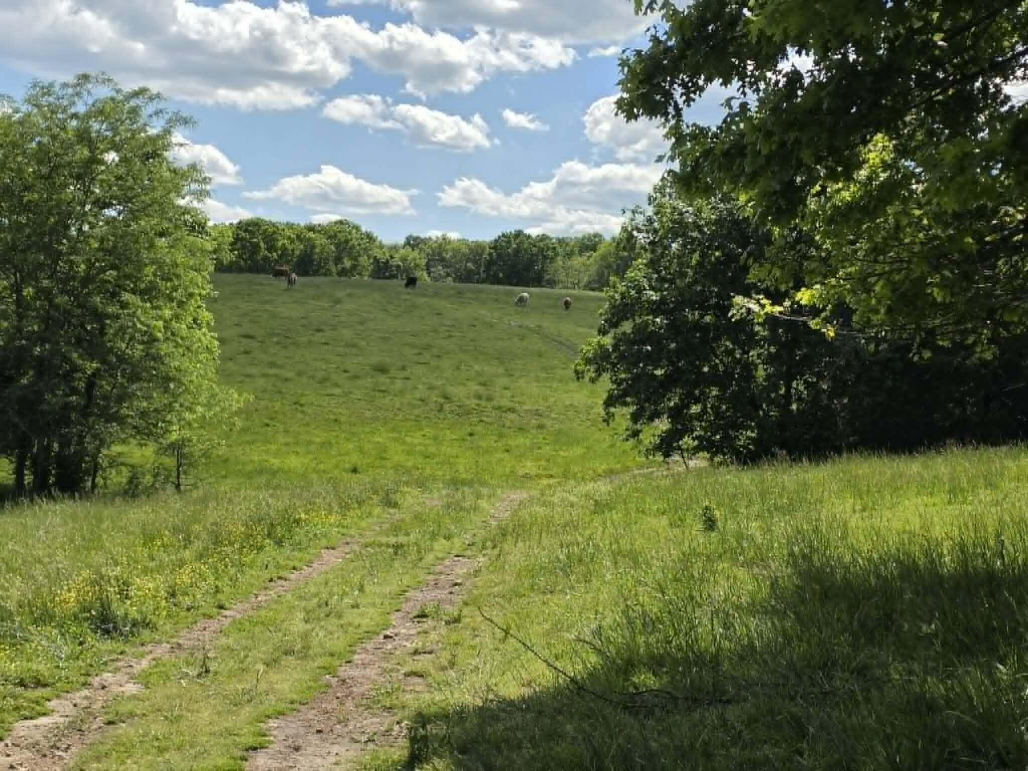 32497 Us Hwy 54 Highway Property Photo 75