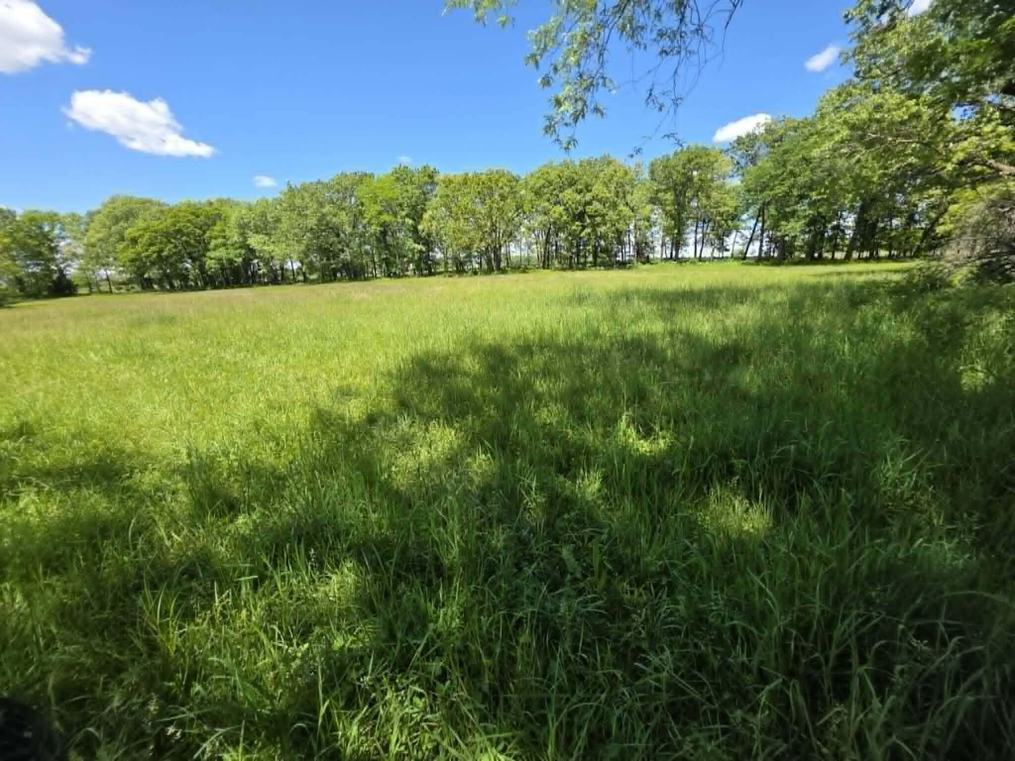 32497 Us Hwy 54 Highway Property Photo 77