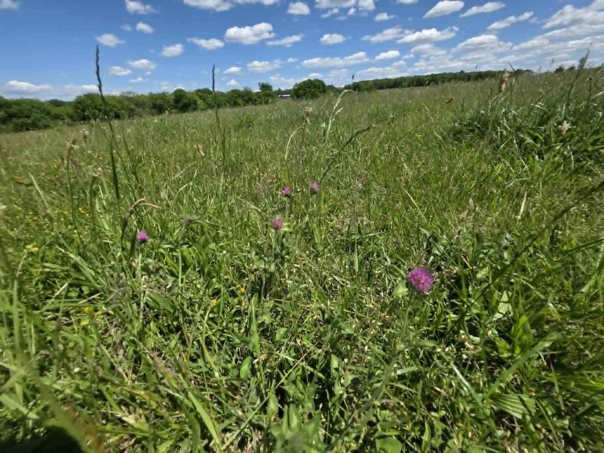 32497 Us Hwy 54 Highway Property Photo 80