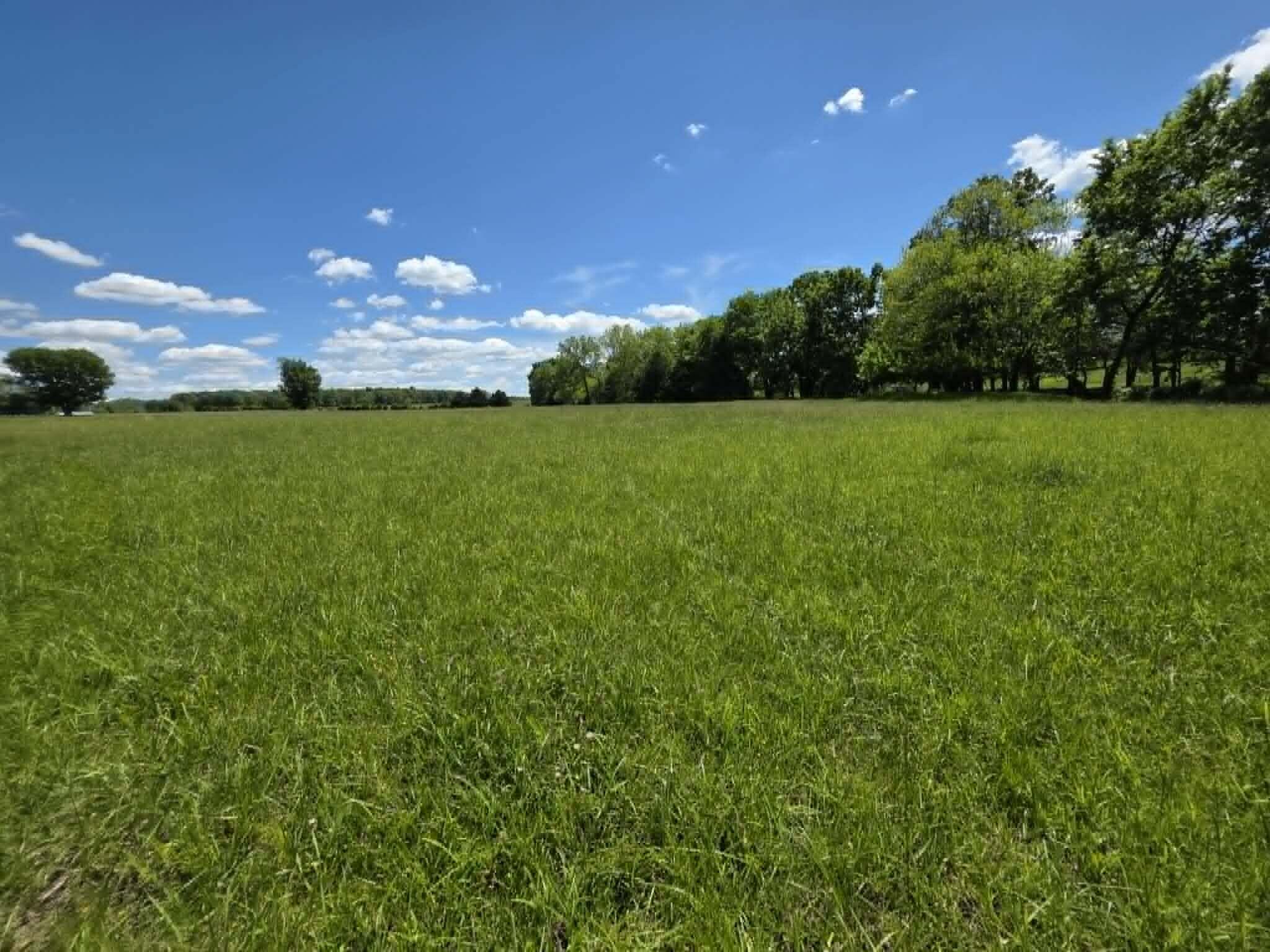 32497 Us Hwy 54 Highway Property Photo 83