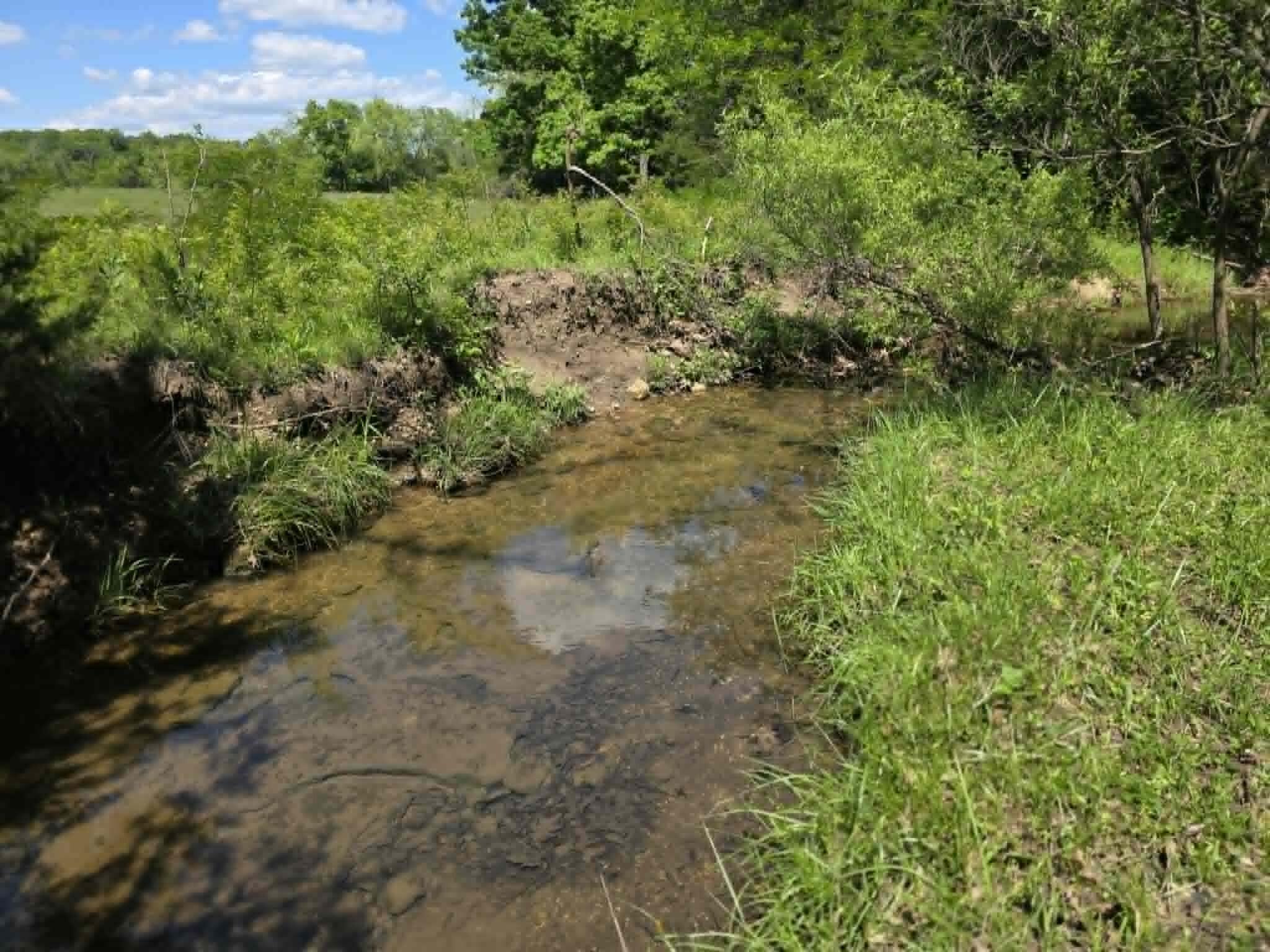 32497 Us Hwy 54 Highway Property Photo 88