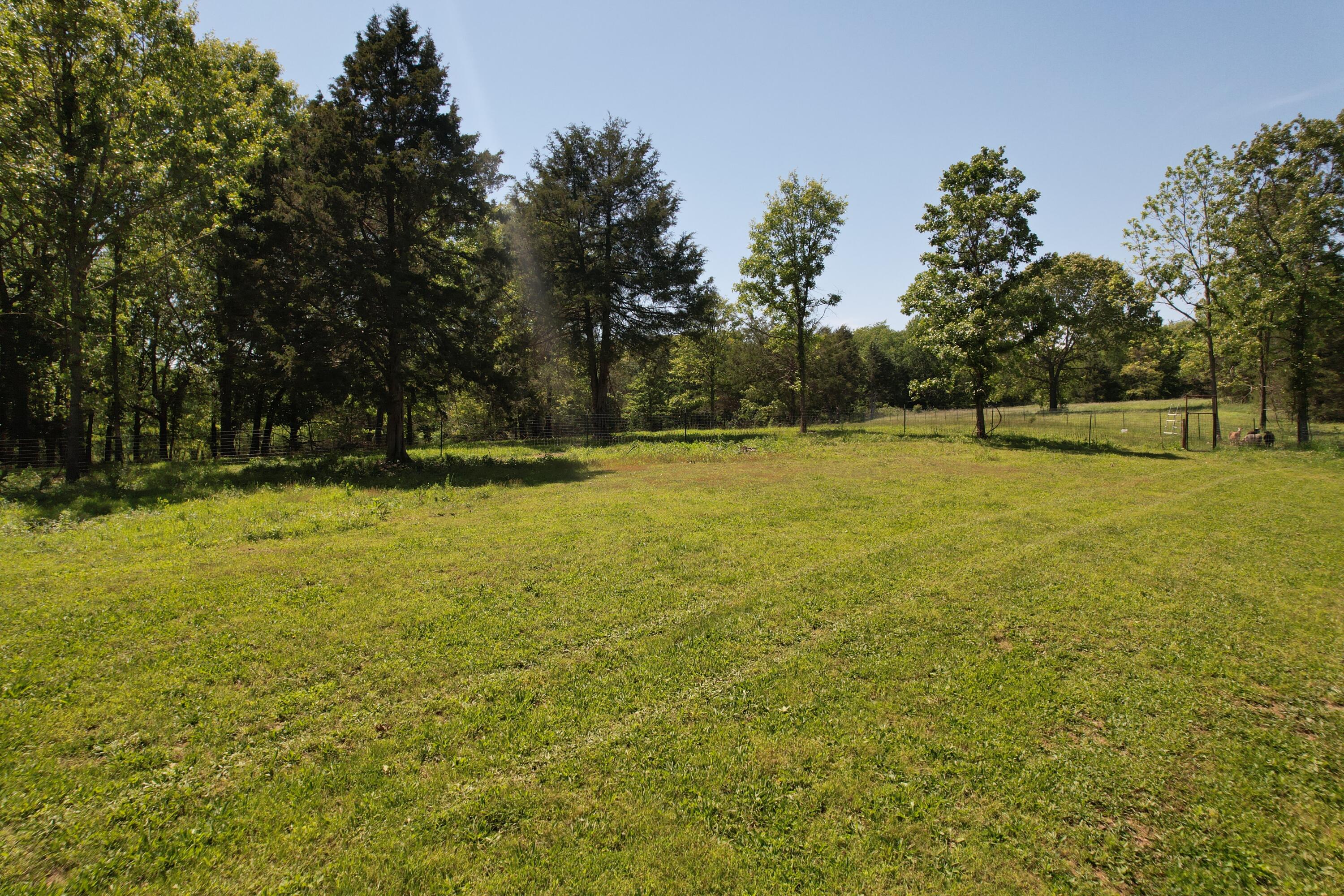 5341 Farm Road 1100 Property Photo 39