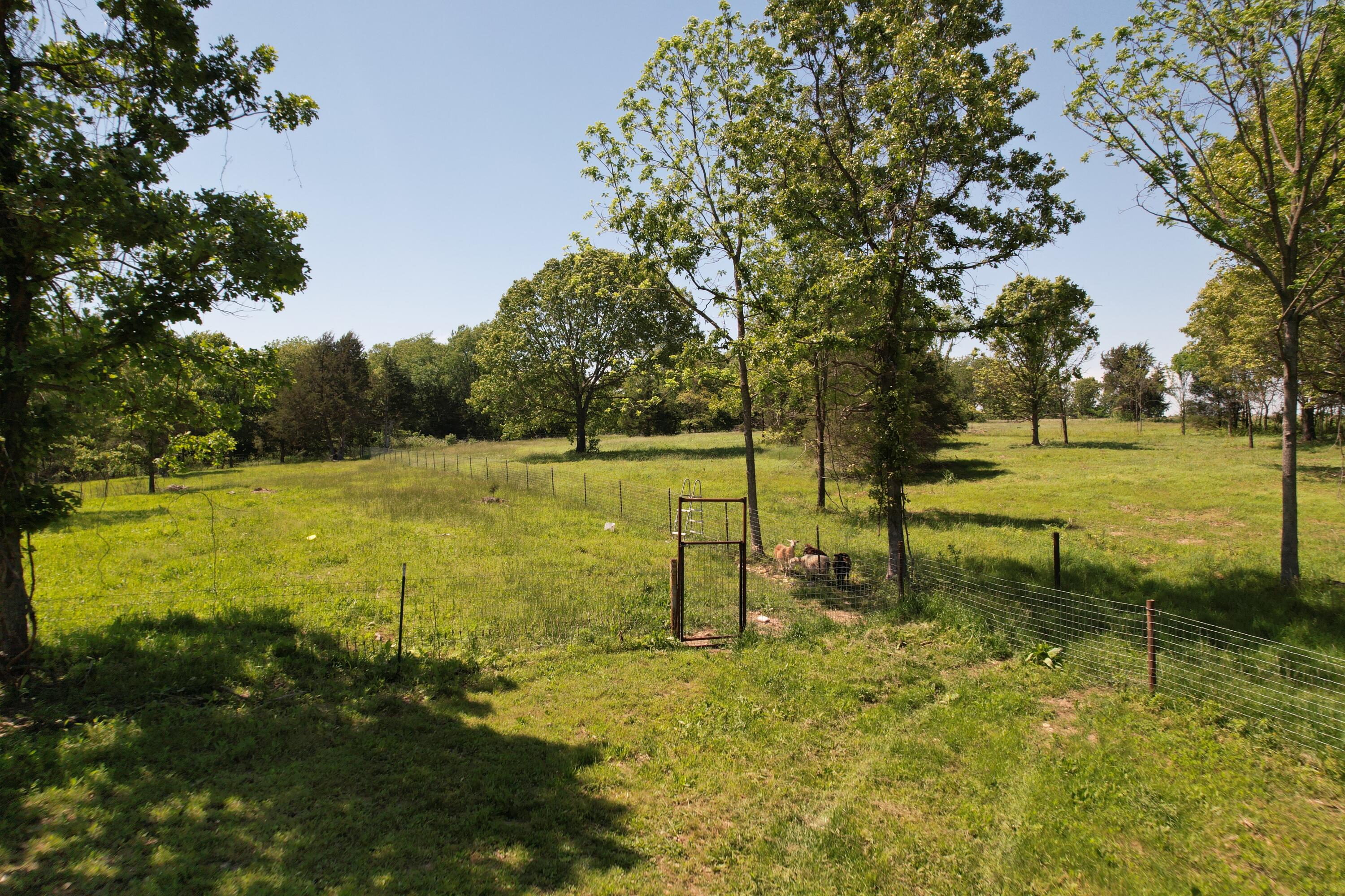 5341 Farm Road 1100 Property Photo 41