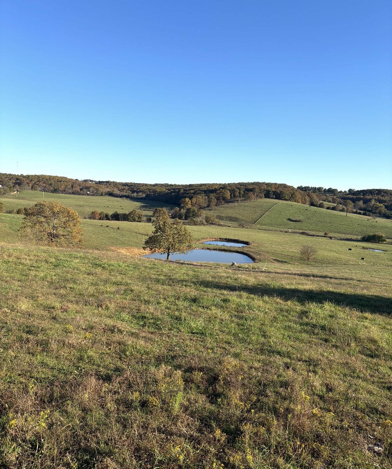 Hc 73 County Road 245 Property Photo 1
