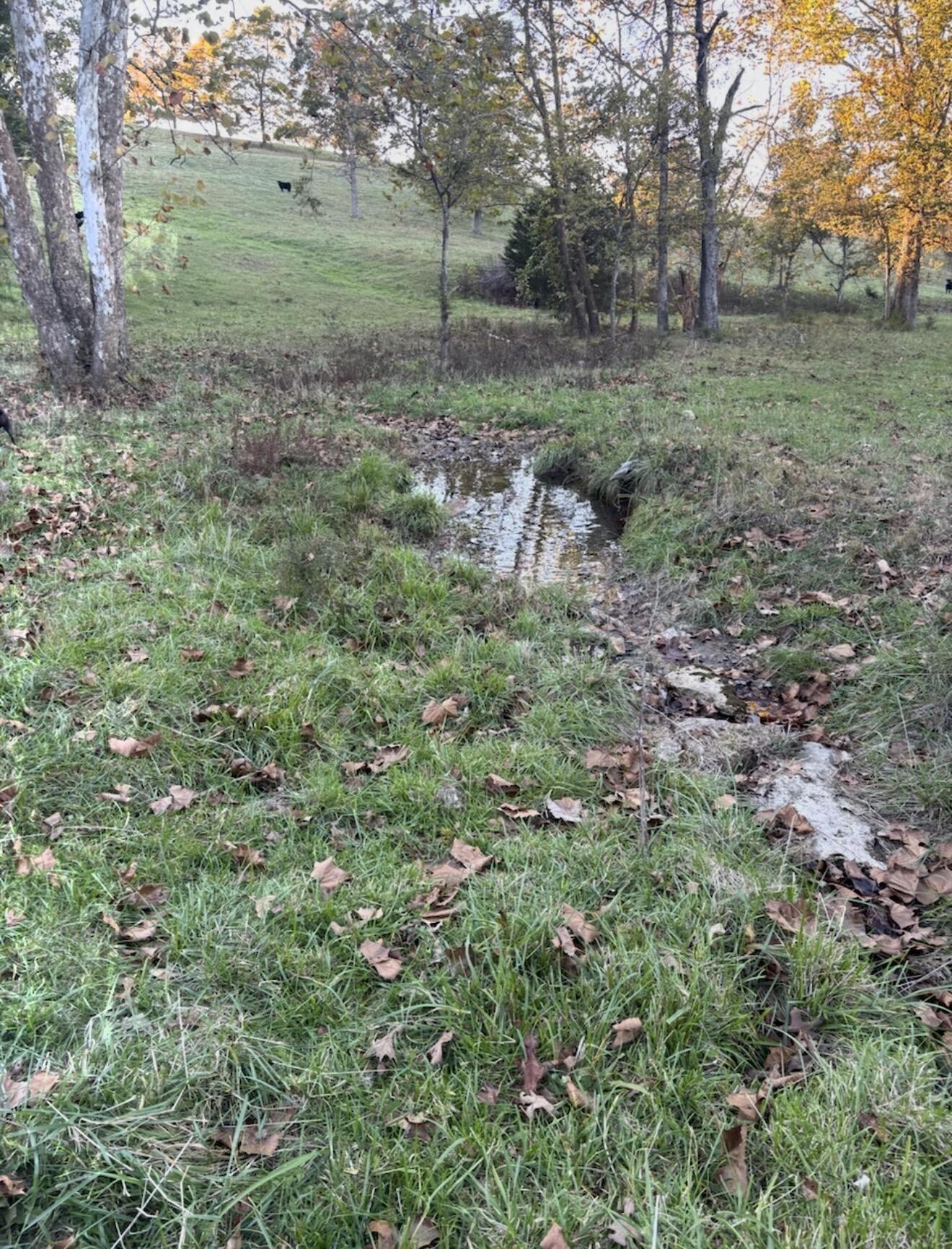 Hc 73 County Road 245 Property Photo 3