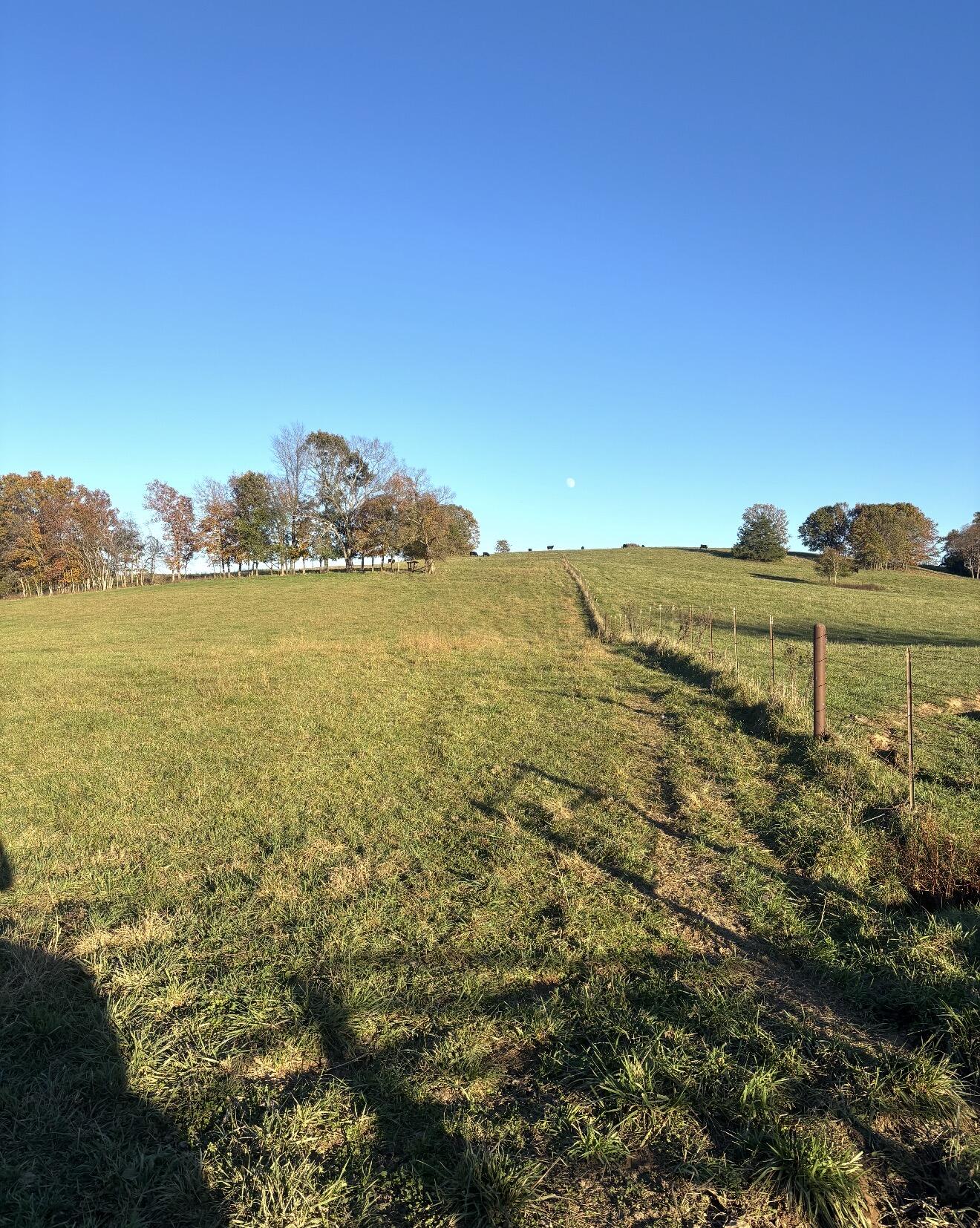 Hc 73 County Road 245 Property Photo 4