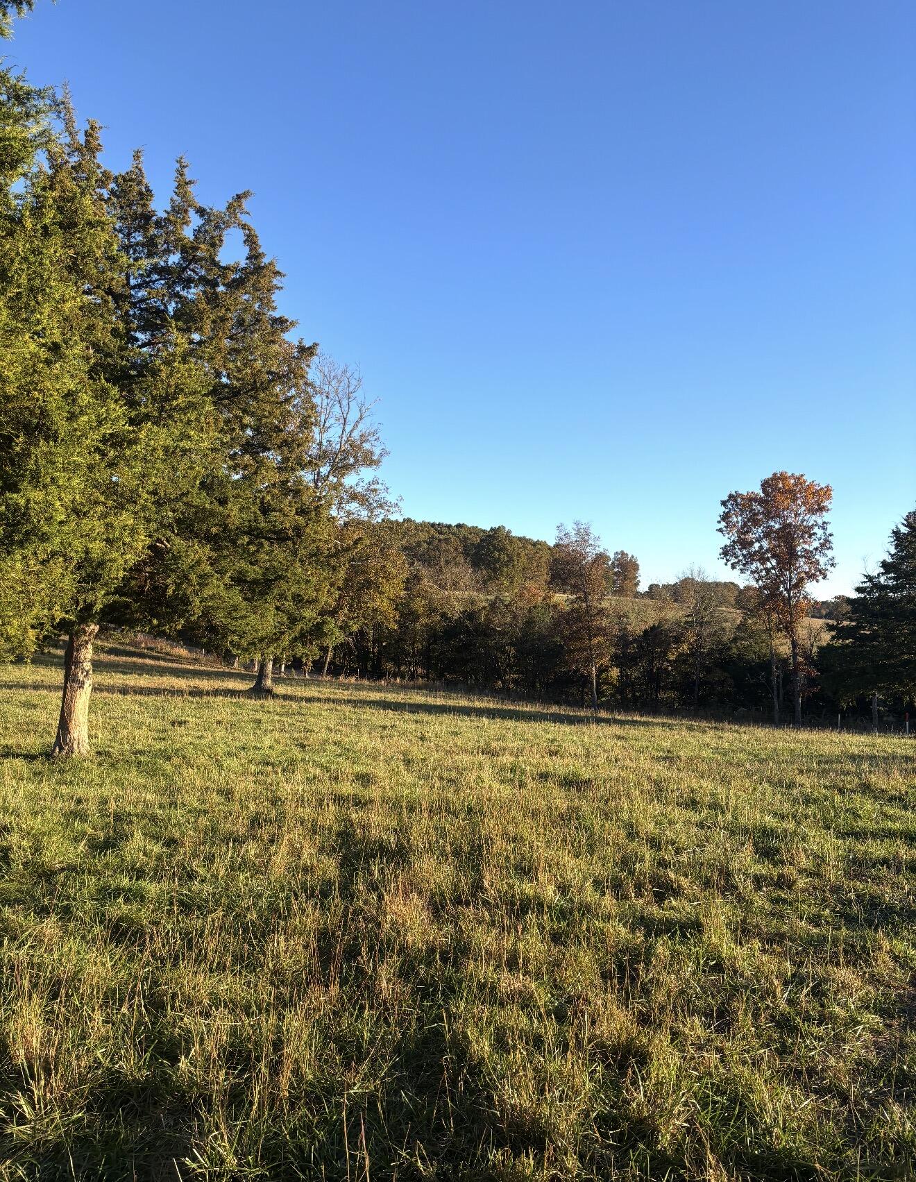 Hc 73 County Road 245 Property Photo 6