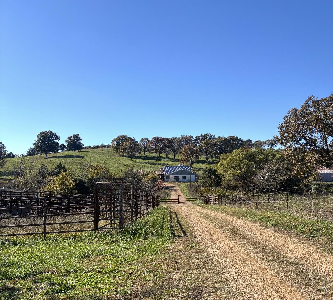 Hc 73 County Road 245 Property Photo 14