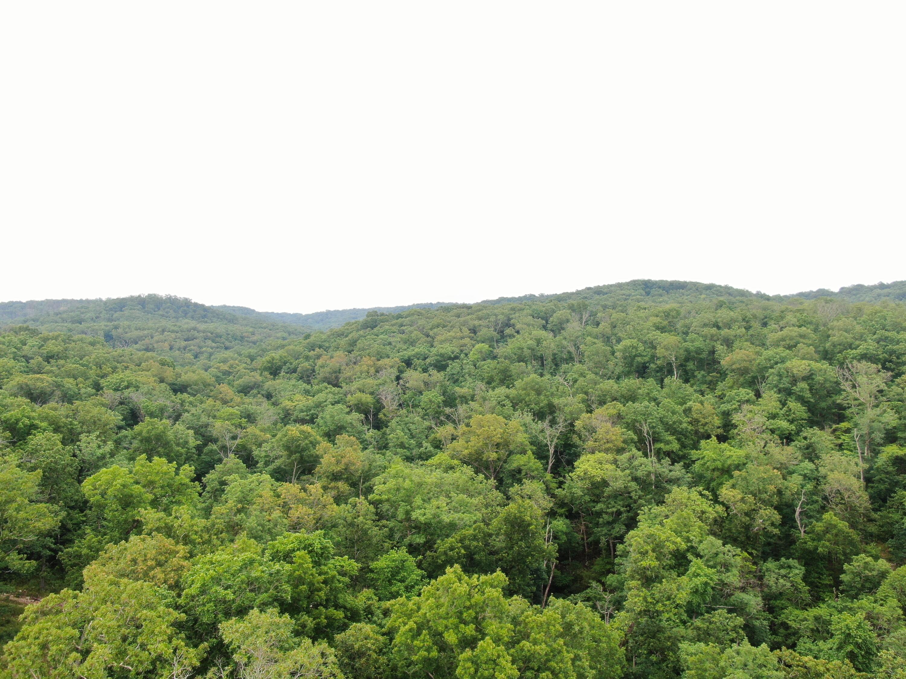 Lot 6 Scenic Heights Property Photo 4