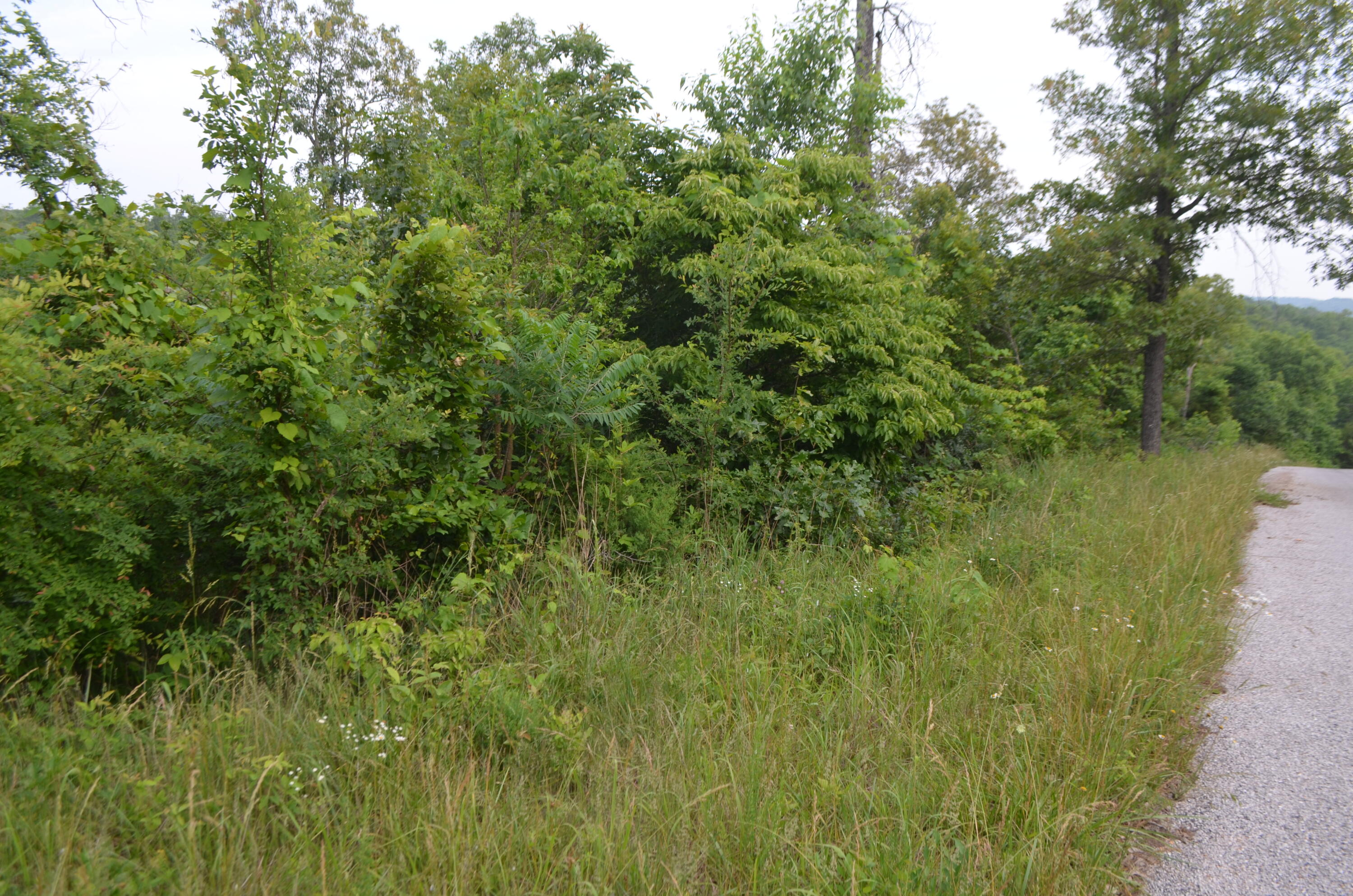 Lot 6 Scenic Heights Property Photo 6