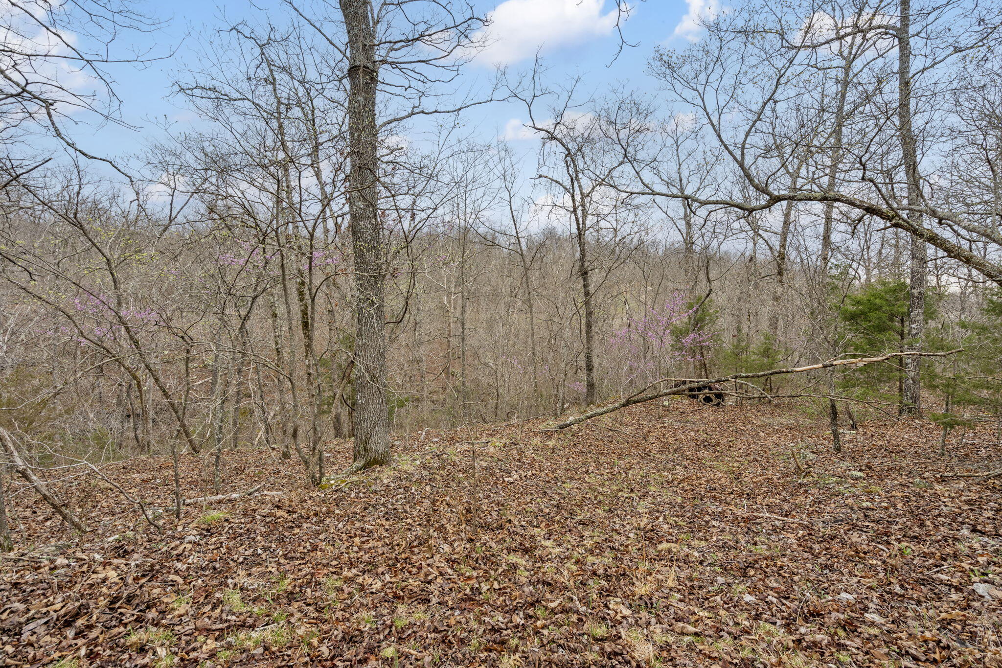 Lot 6 Scenic Heights Property Photo 10