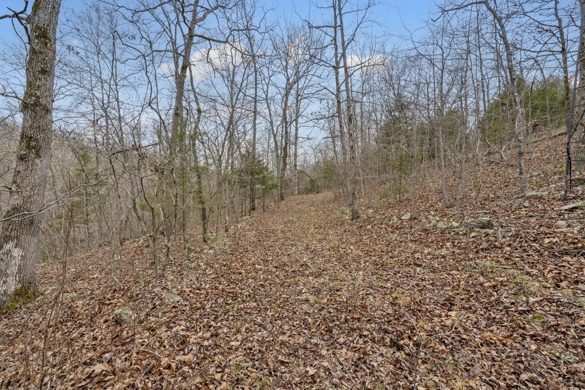 Lot 6 Scenic Heights Property Photo 11