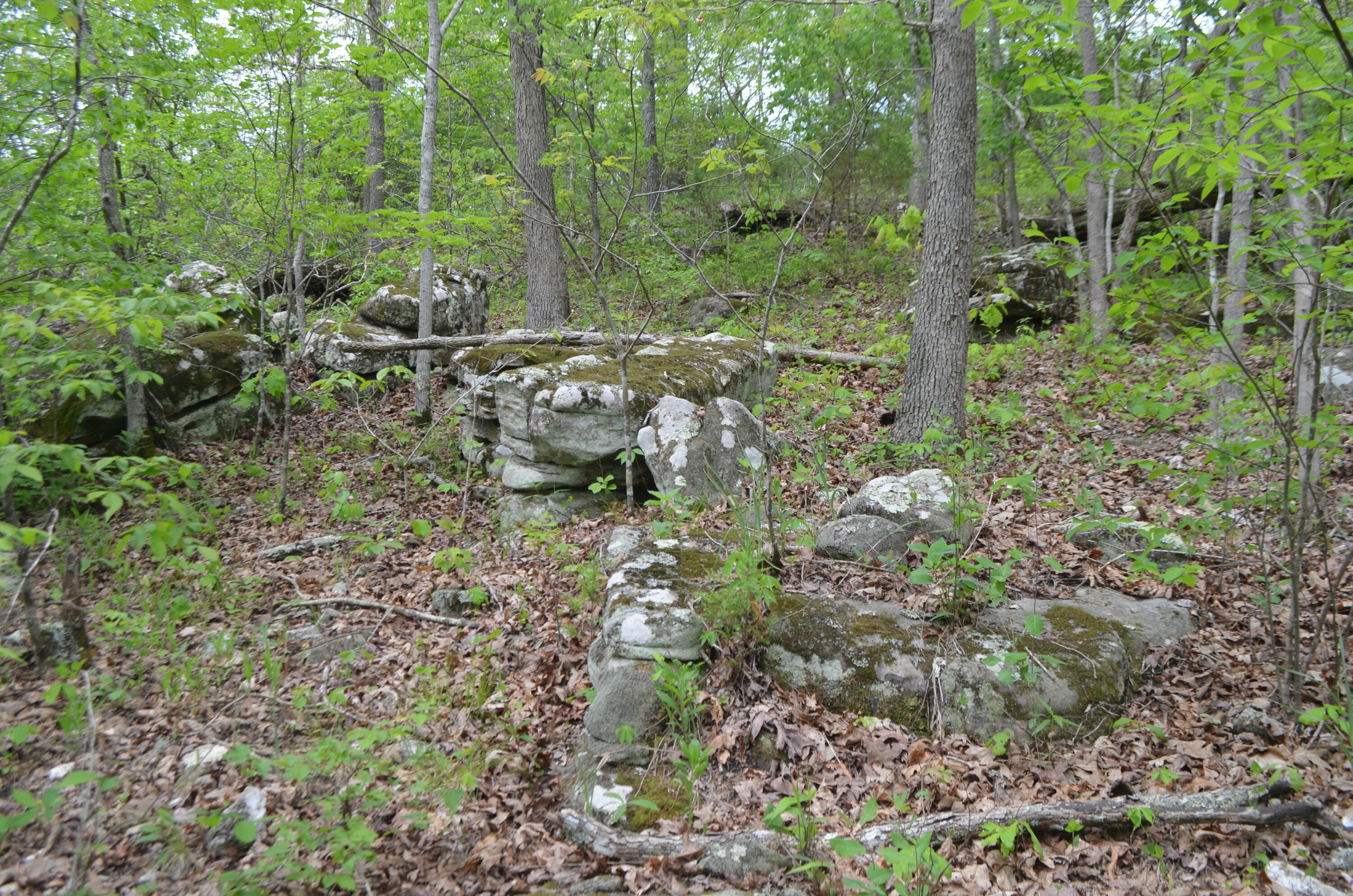 Lot 6 Scenic Heights Property Photo 13