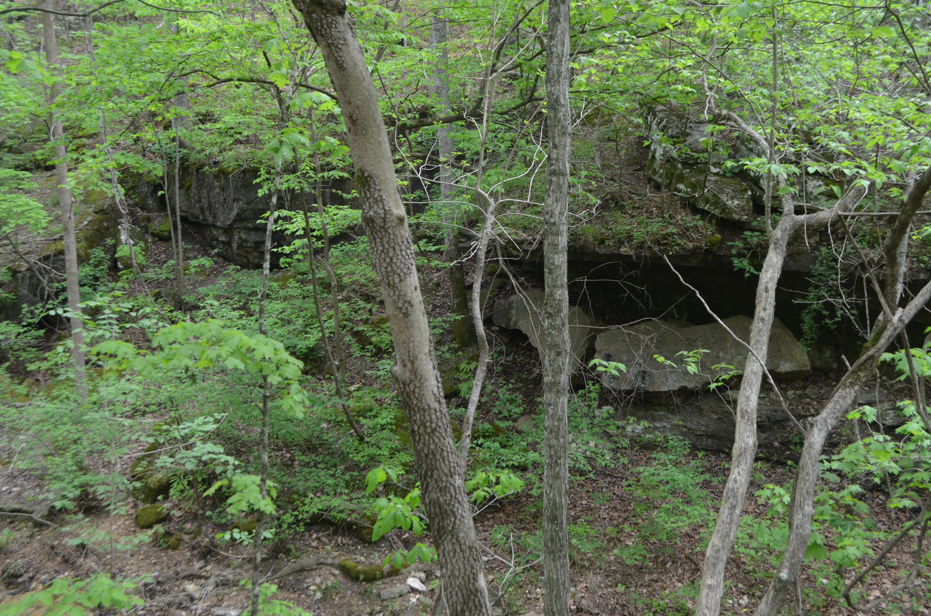 Lot 6 Scenic Heights Property Photo 14