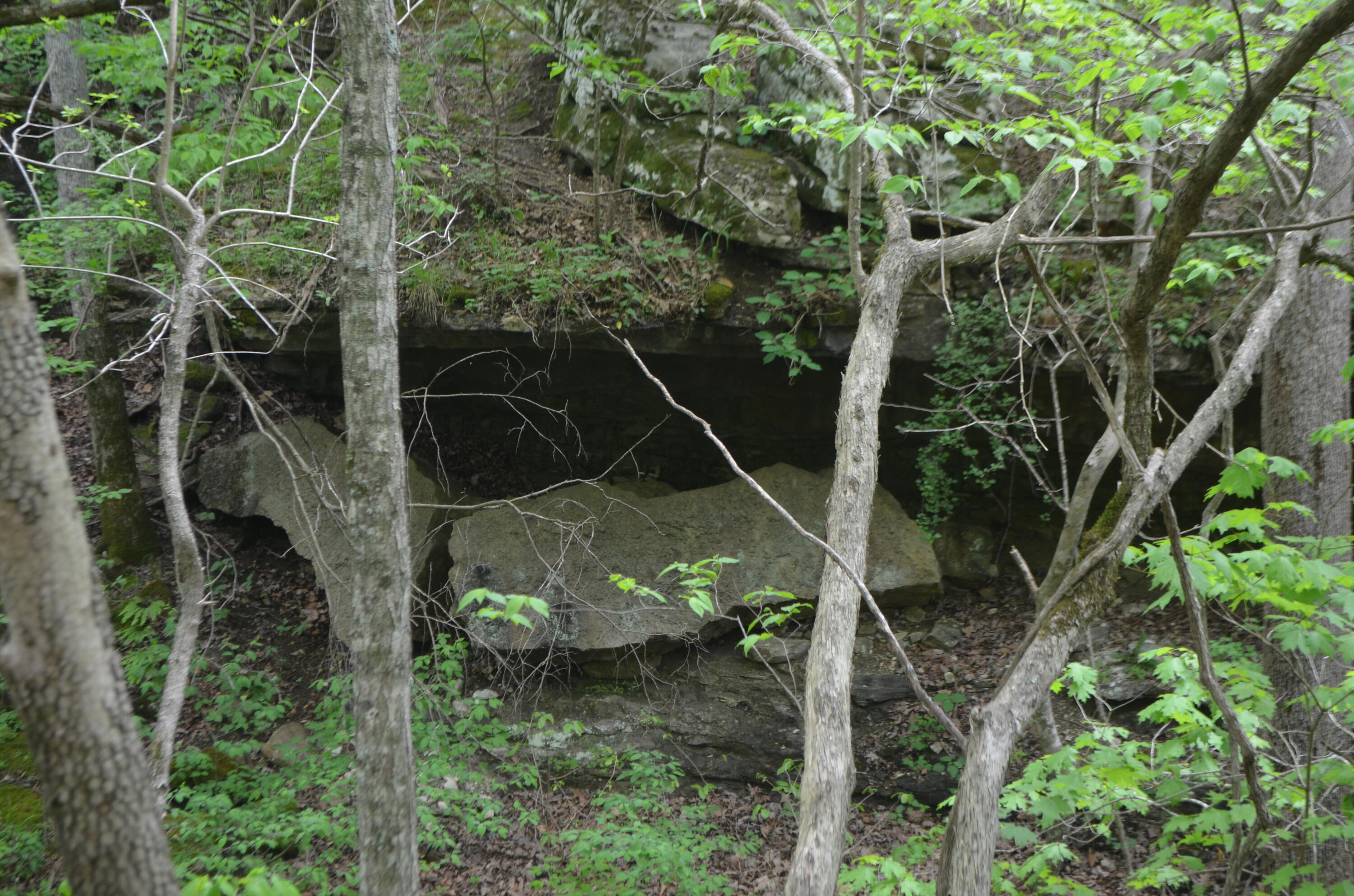 Lot 6 Scenic Heights Property Photo 15