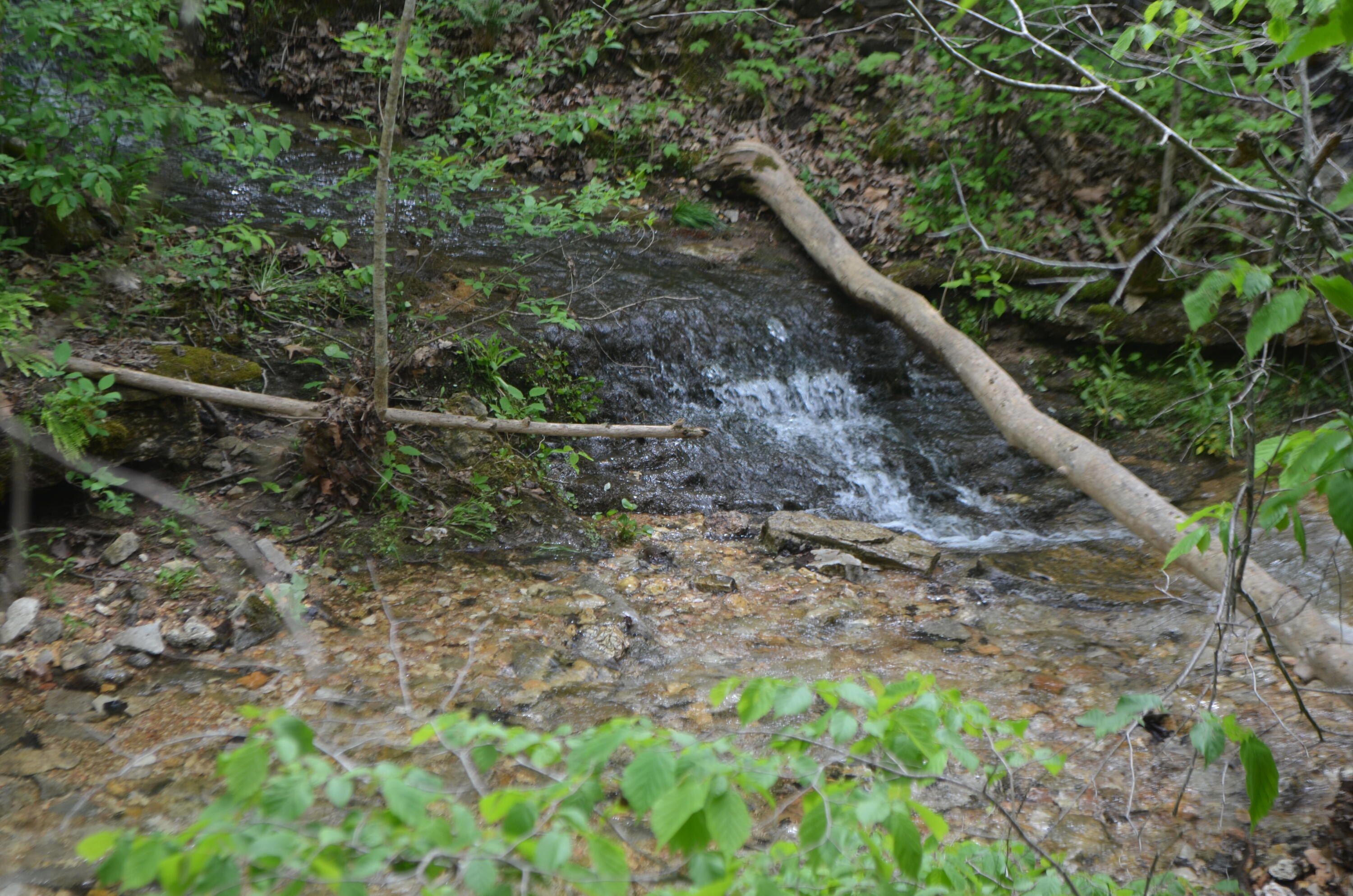 Lot 6 Scenic Heights Property Photo 16