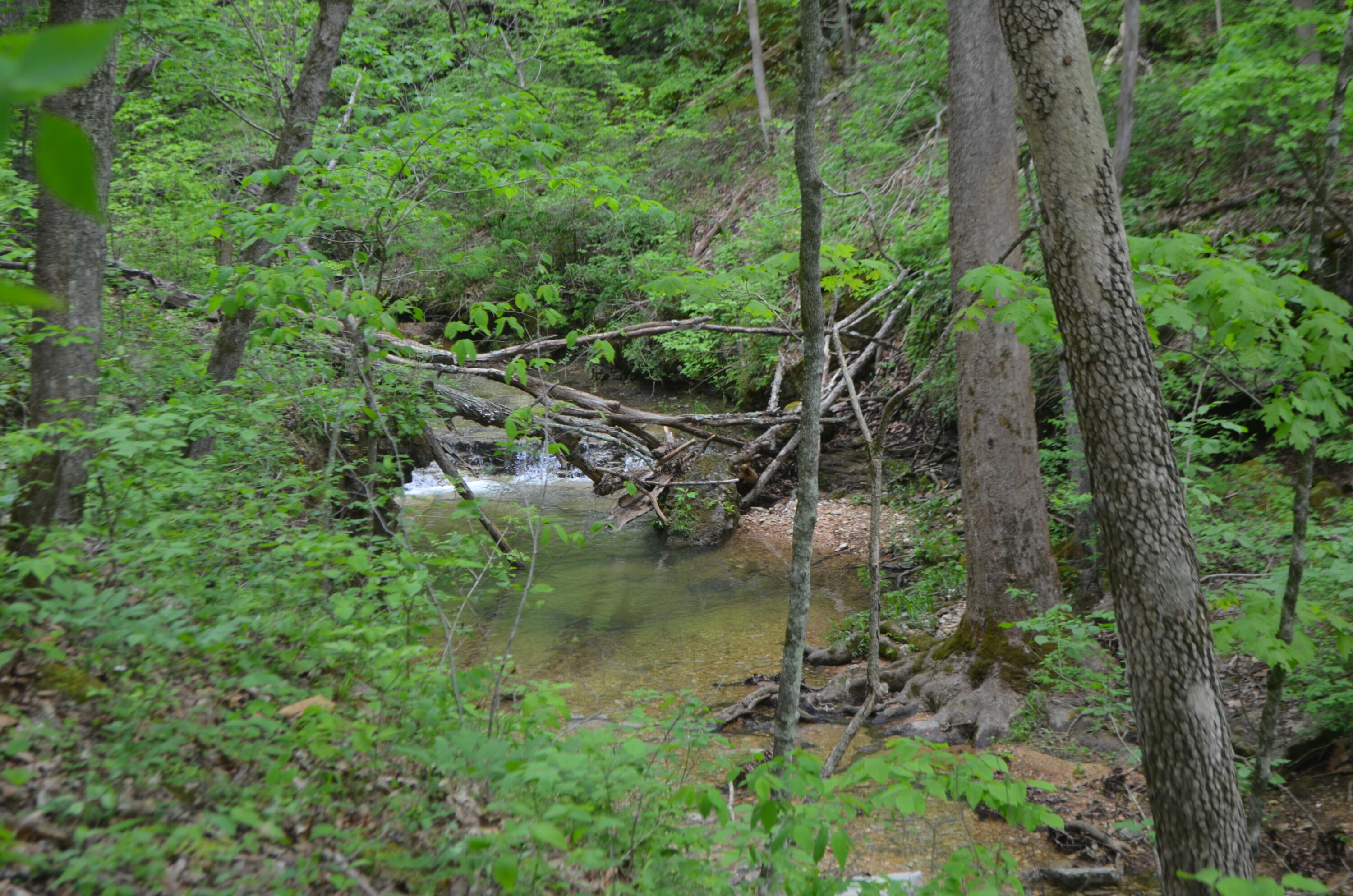 Lot 6 Scenic Heights Property Photo 17