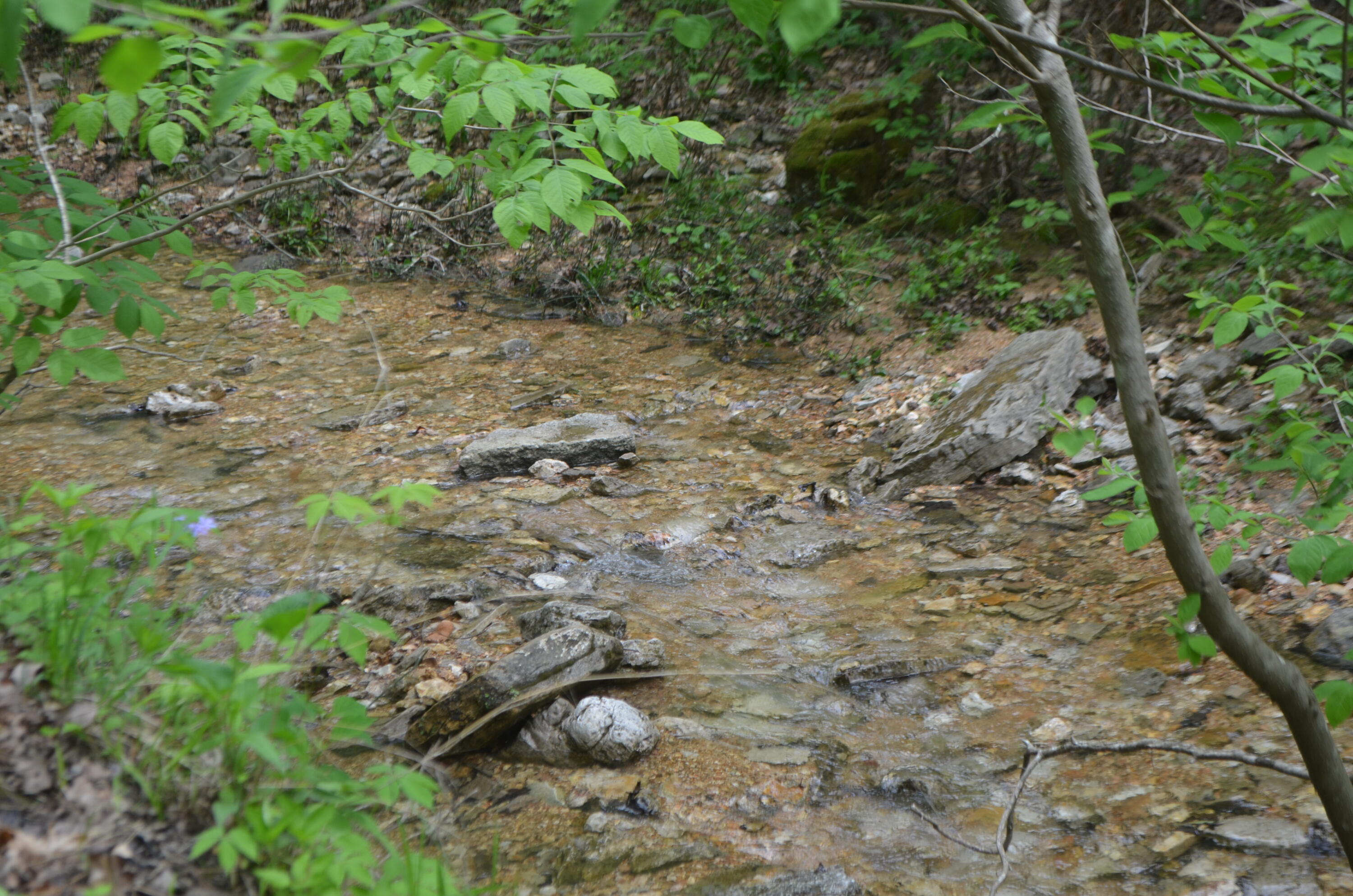 Lot 6 Scenic Heights Property Photo 18