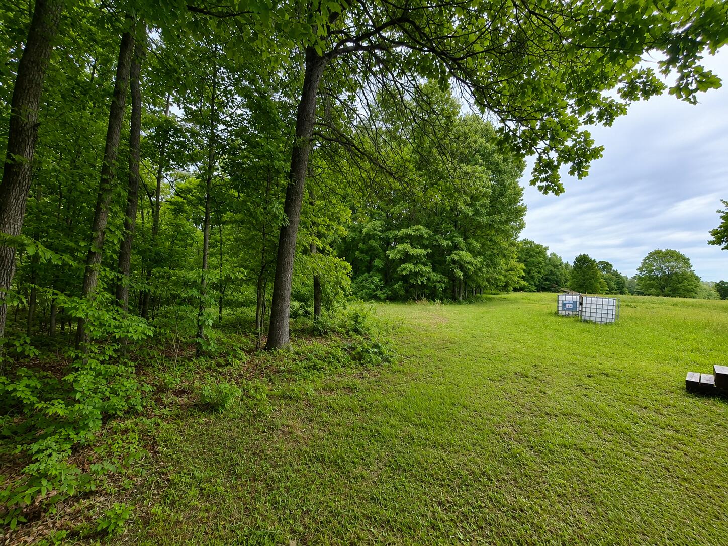 113 Wanda Drive
