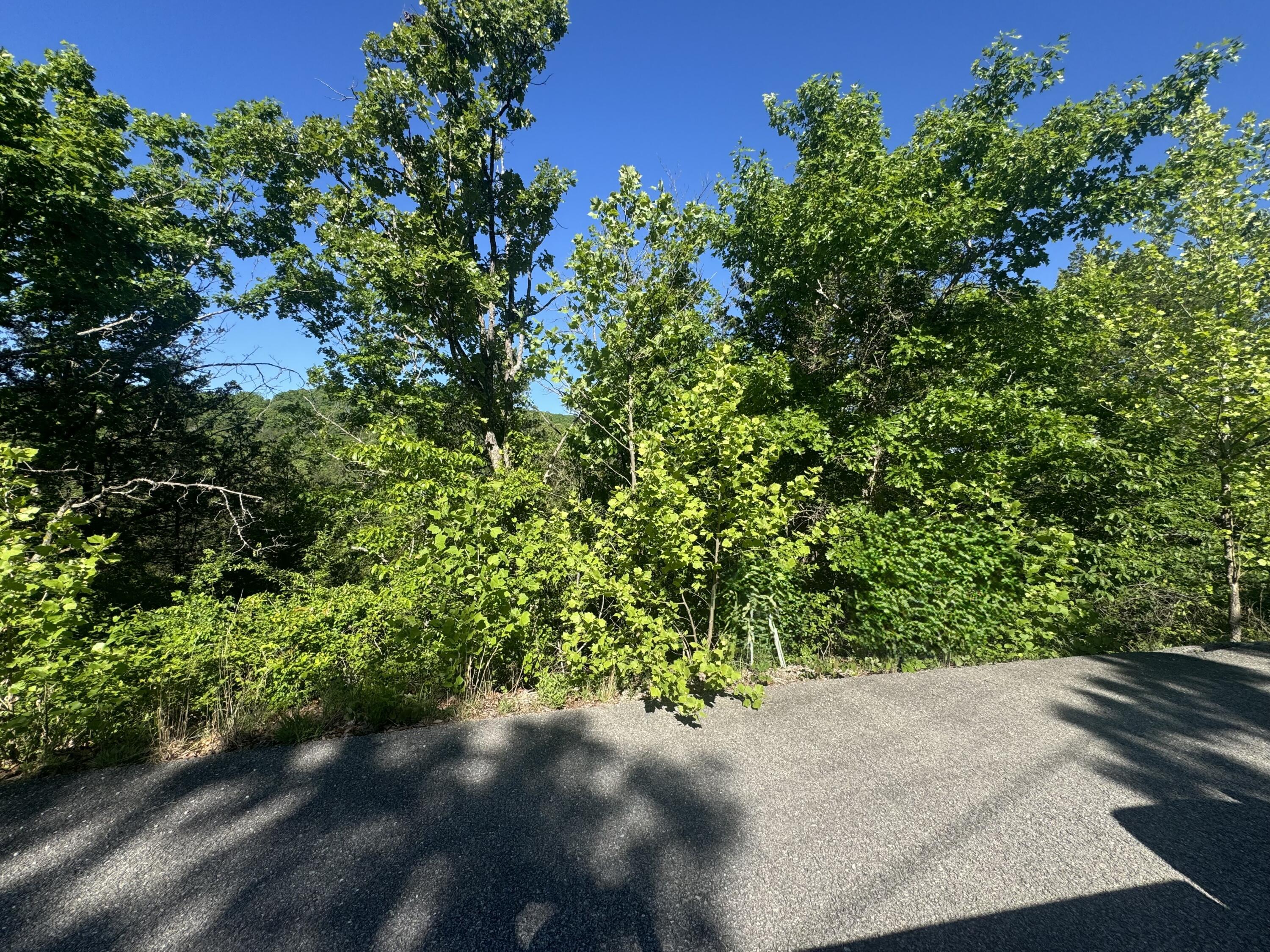 360 Timber Wolf Road Lot 1 Property Photo 2