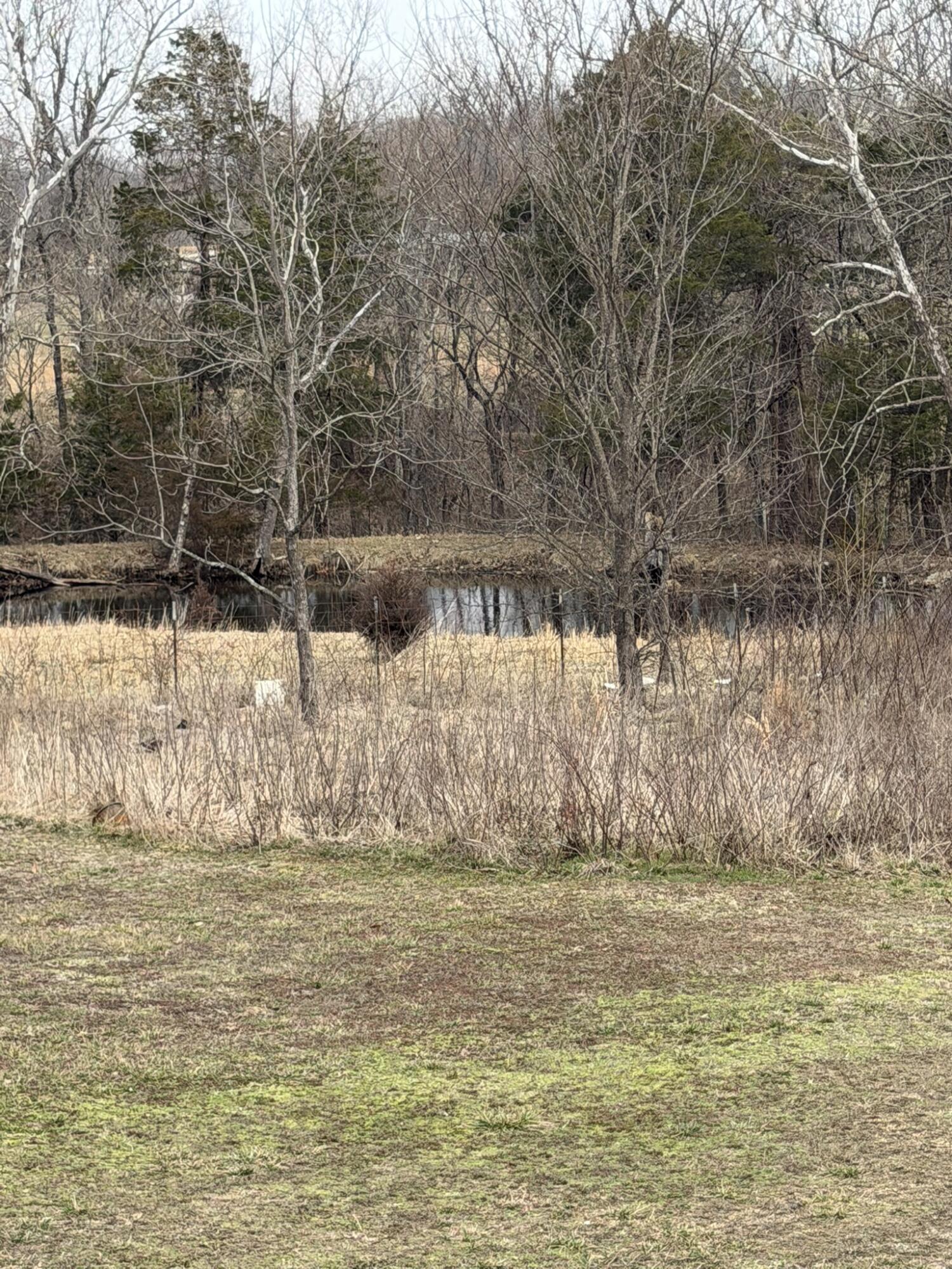 7348 State Hwy H Property Photo 11