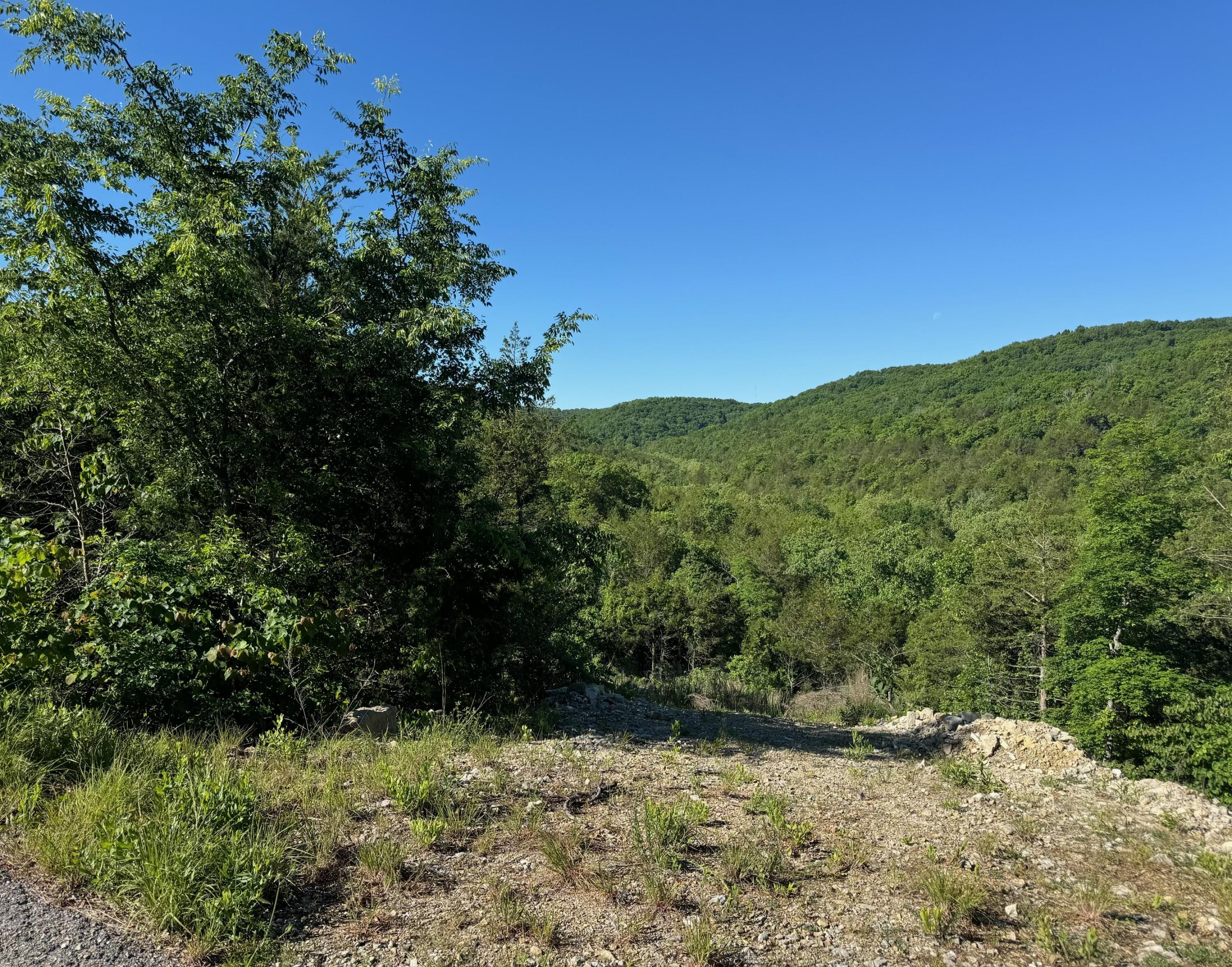 236 Timber Wolf Rd Lot 9 Property Photo 1