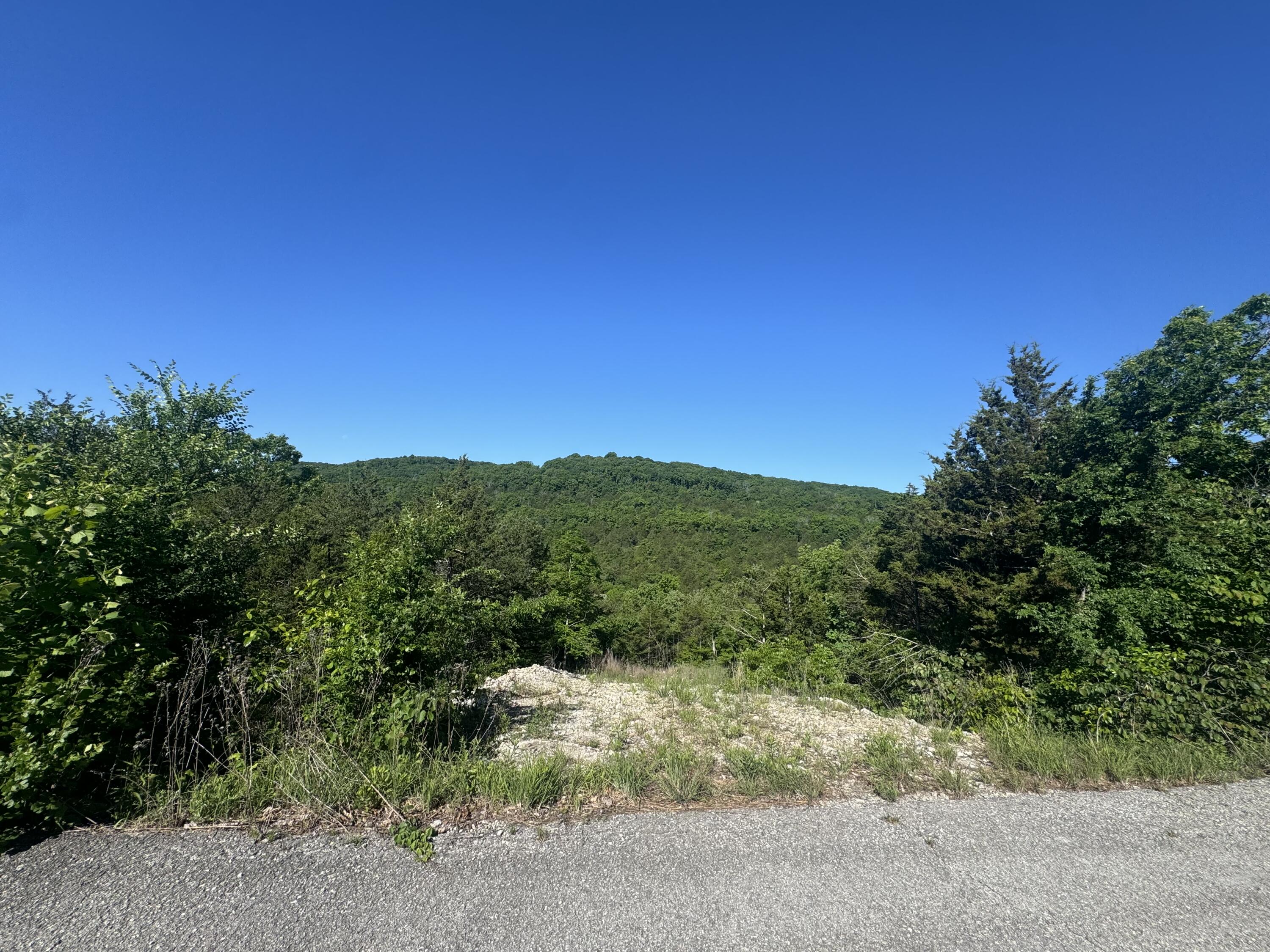 236 Timber Wolf Rd Lot 9 Property Photo 2