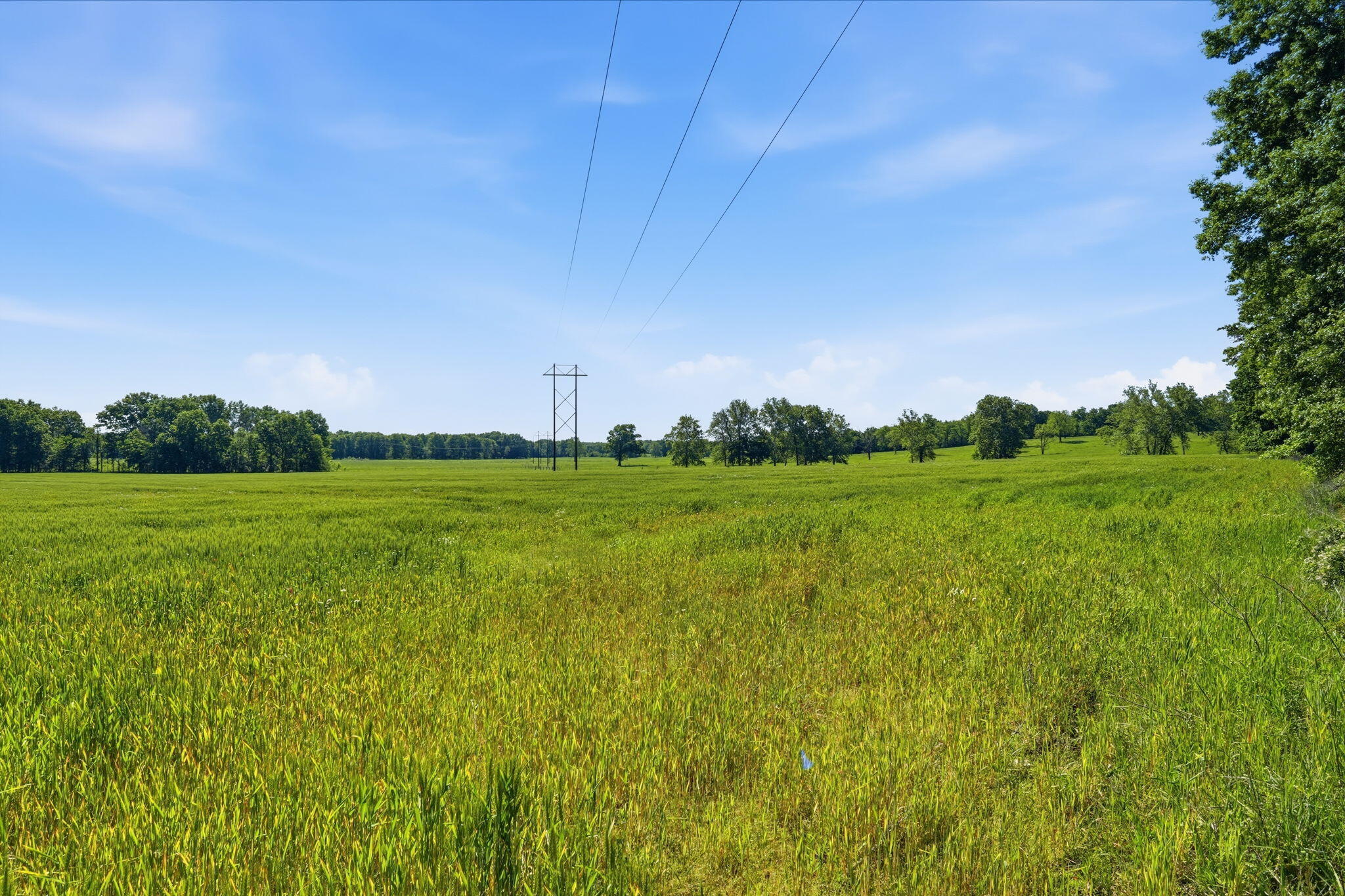Lot 7 Highway 32 Property Photo 8