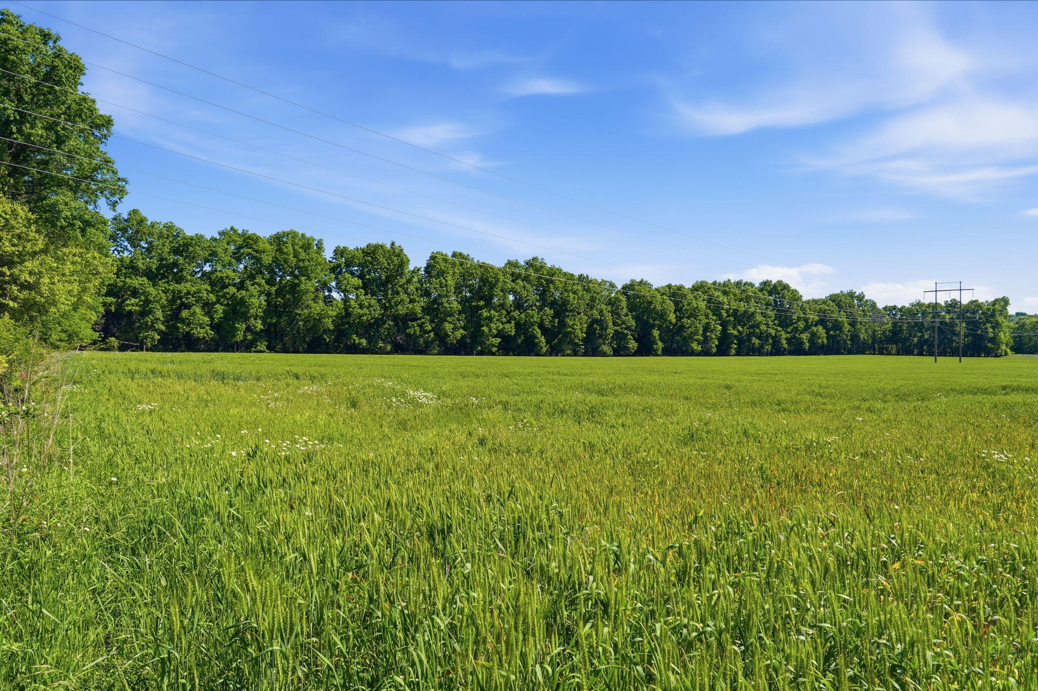 Lot 7 Highway 32 Property Photo 9