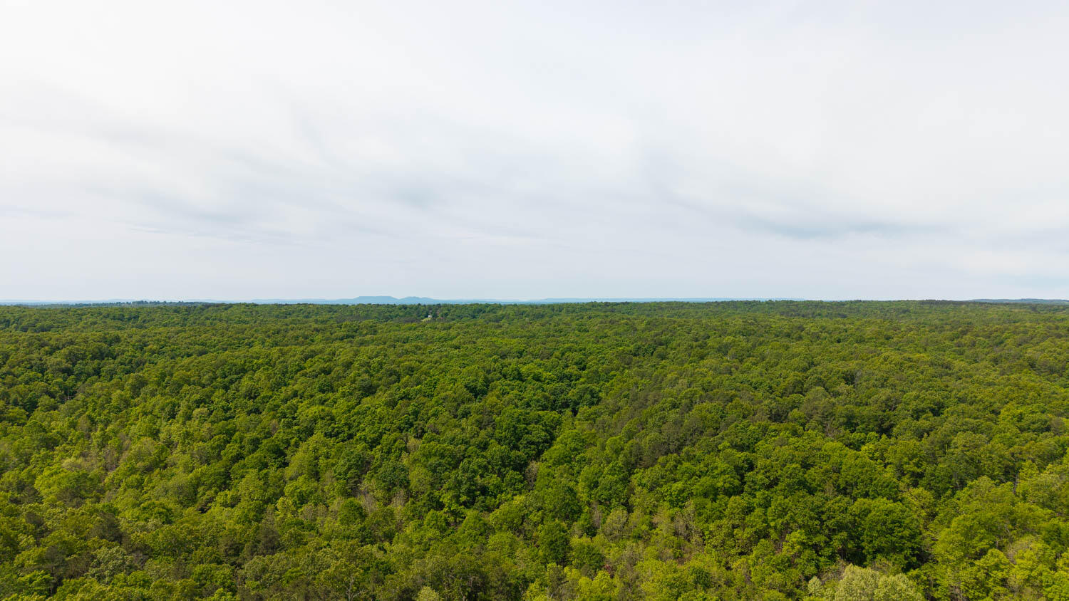 1163-1071 Fee Hollow Terrace Property Photo 8