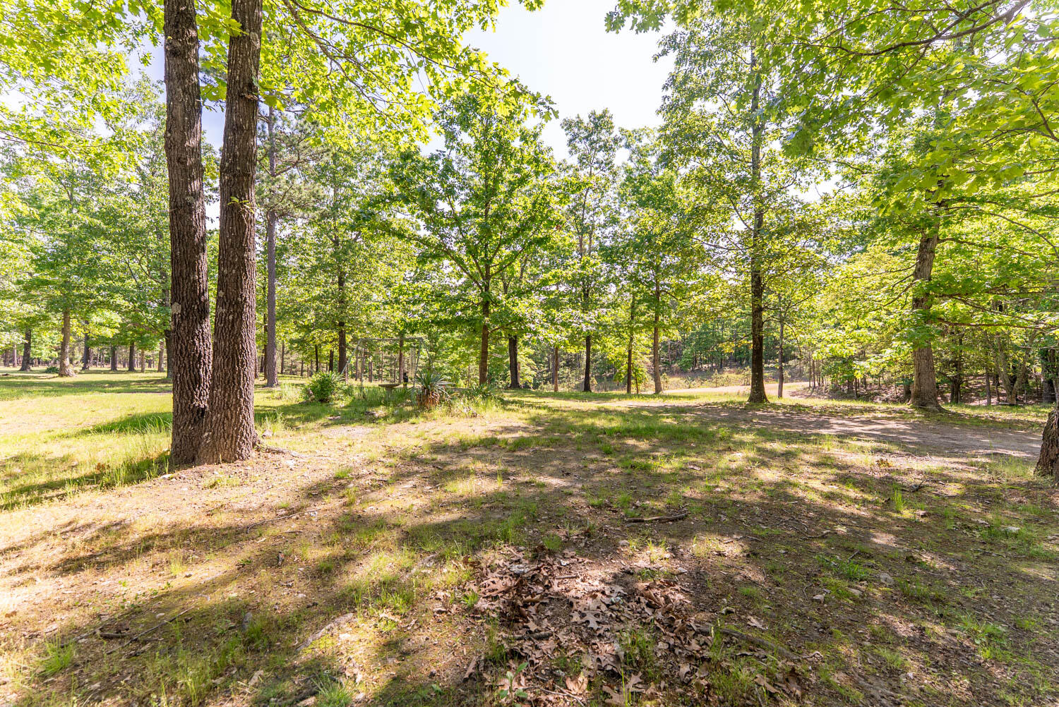 1163-1071 Fee Hollow Terrace Property Photo 36