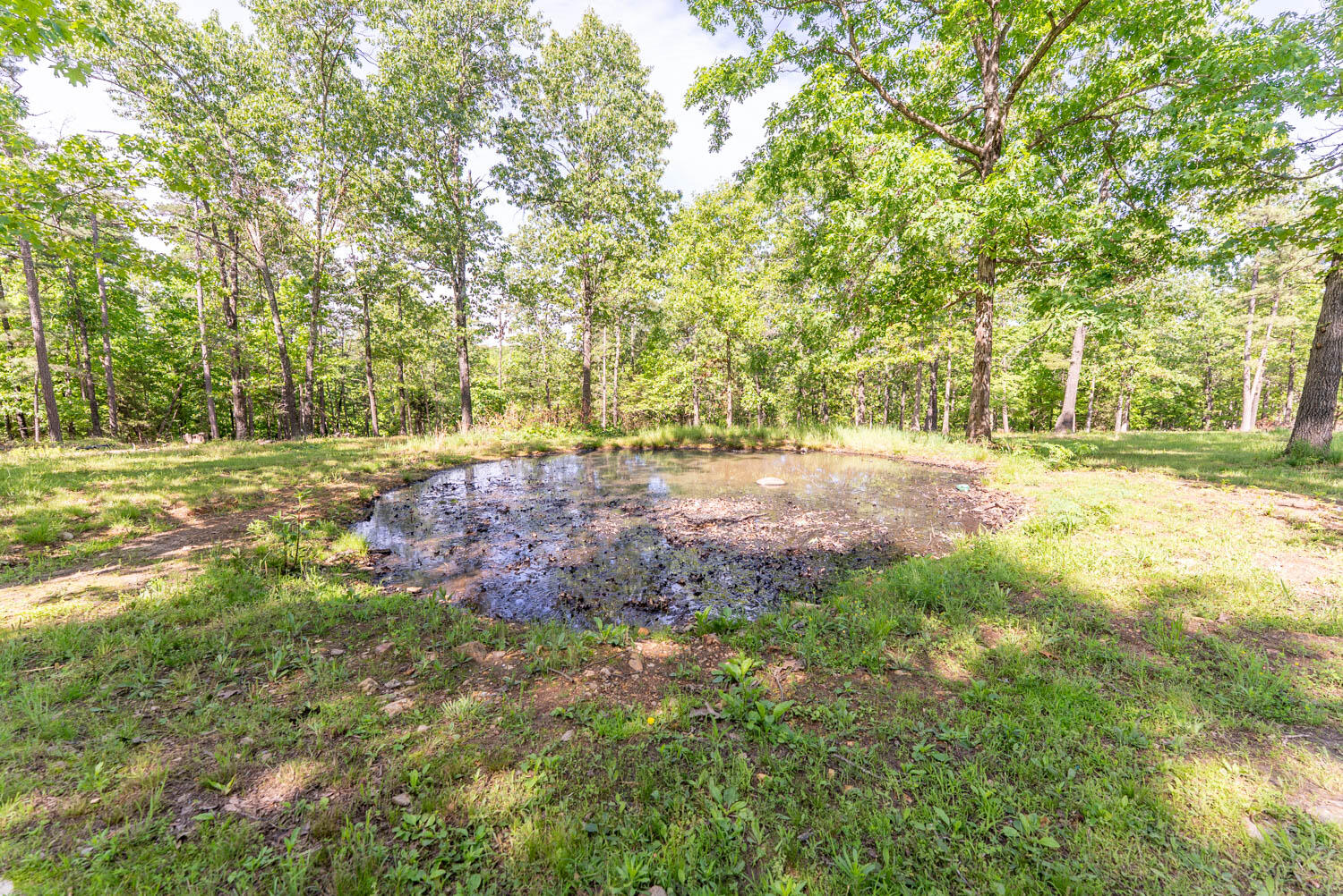 1163-1071 Fee Hollow Terrace Property Photo 42