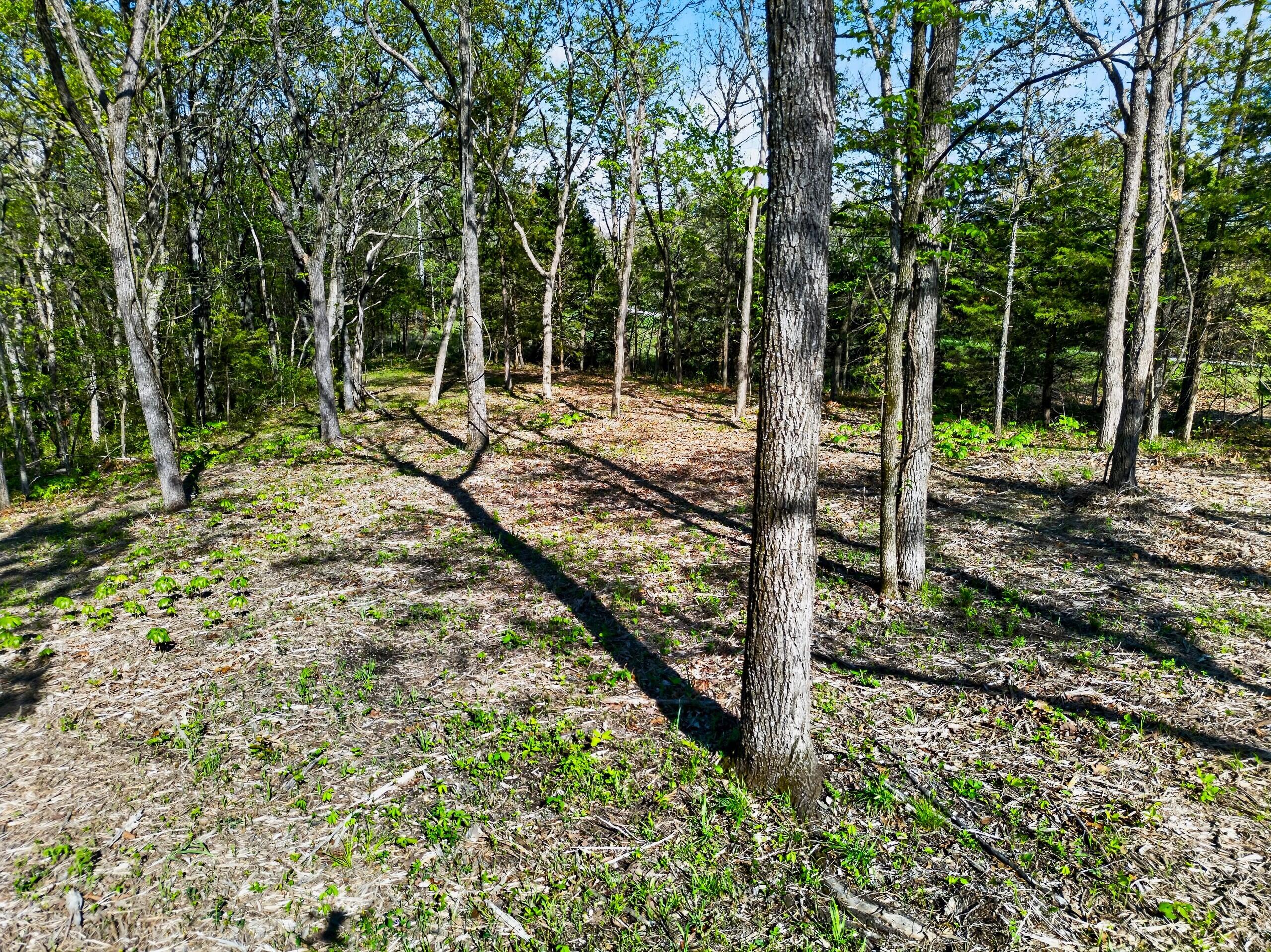 005 Mm Highway Property Photo 11