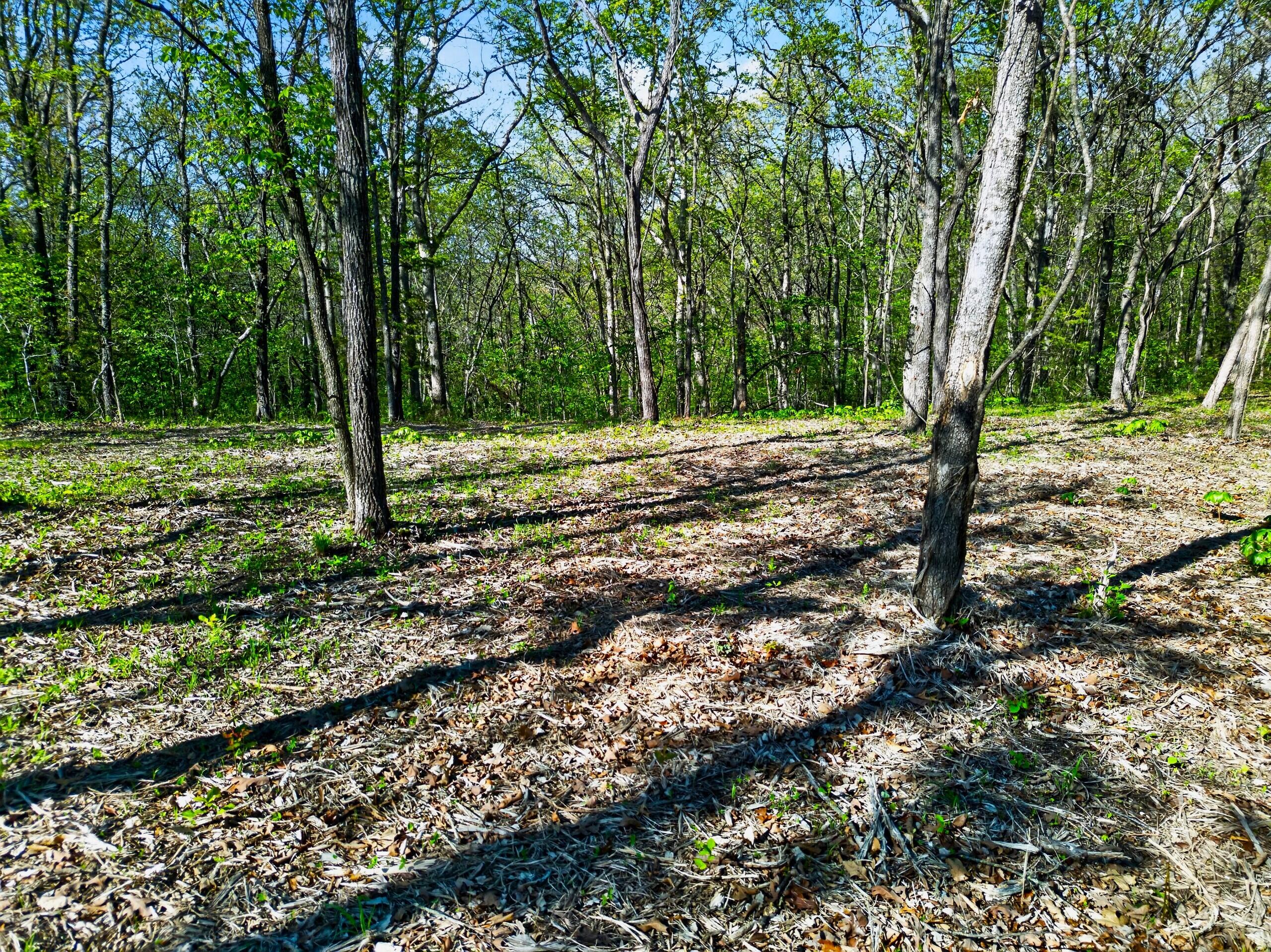 005 Mm Highway Property Photo 13