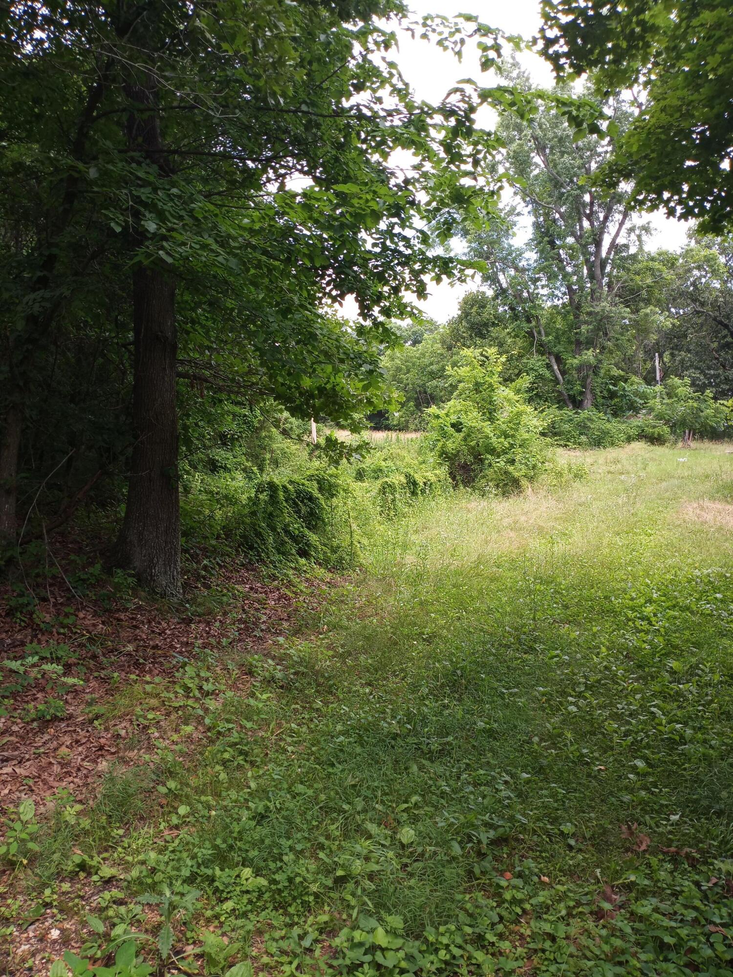 15734 Farm Road 2140 Property Photo 1