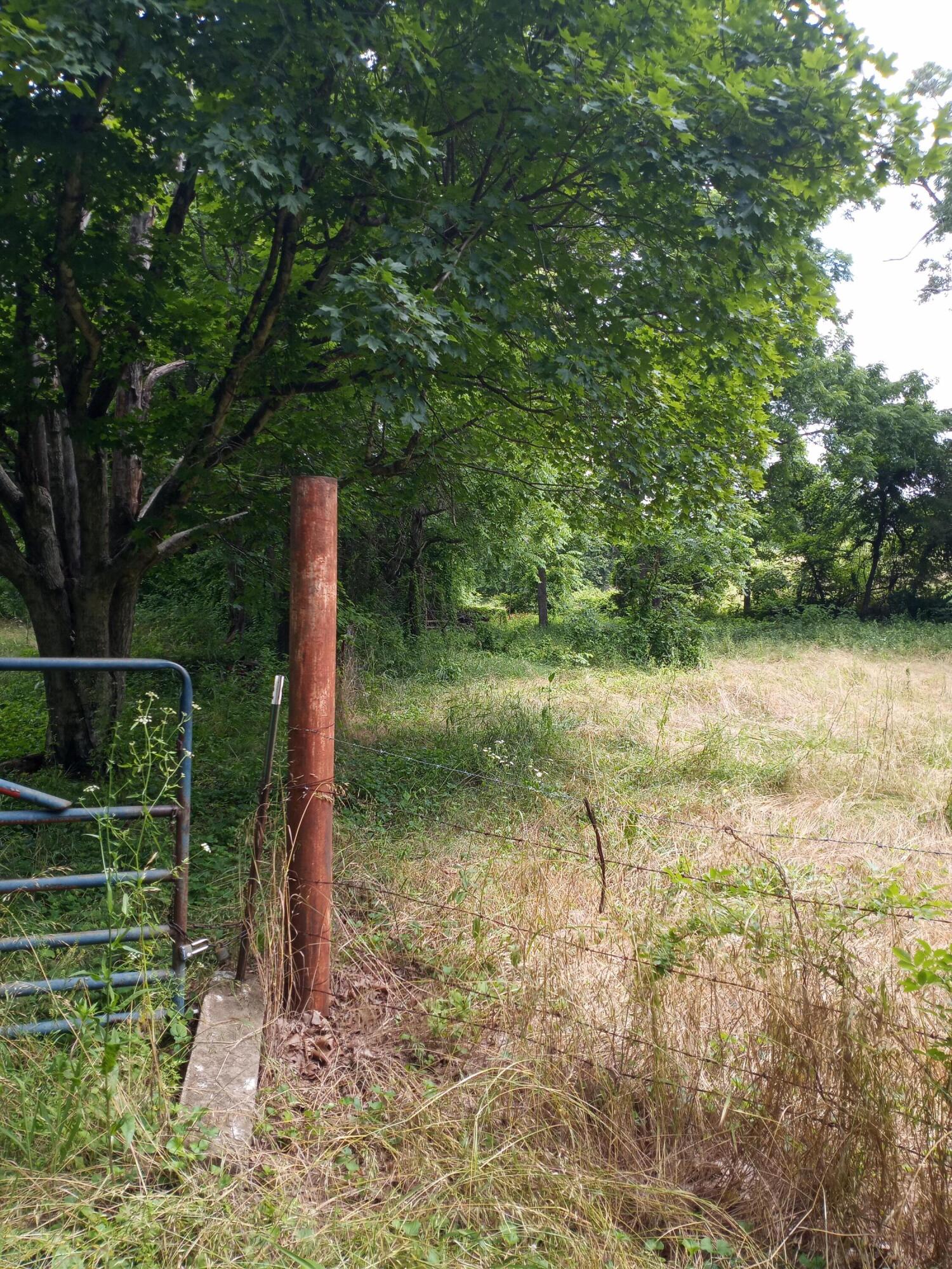 15734 Farm Road 2140 Property Photo 4