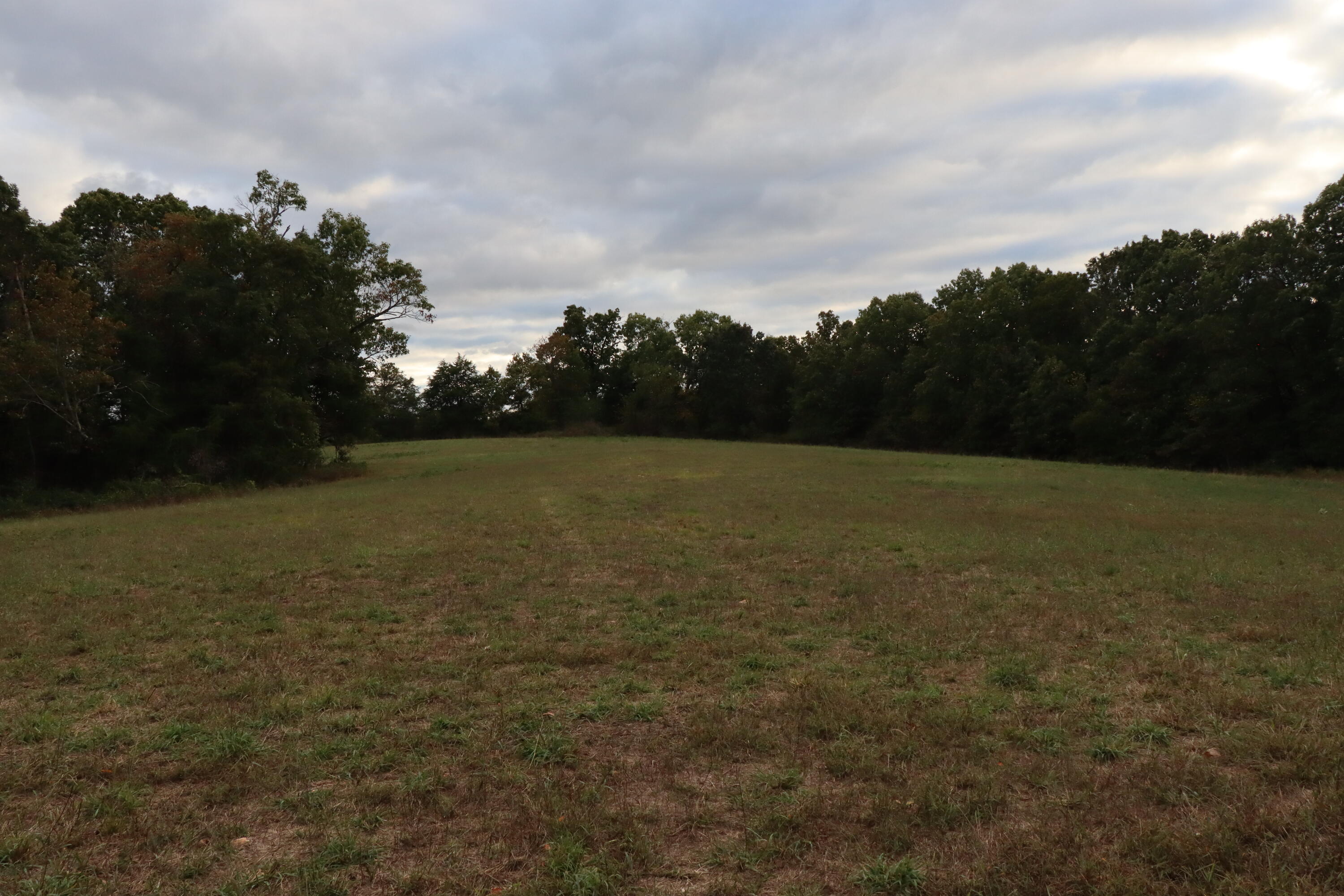 15734 Farm Road 2140 Property Photo 4