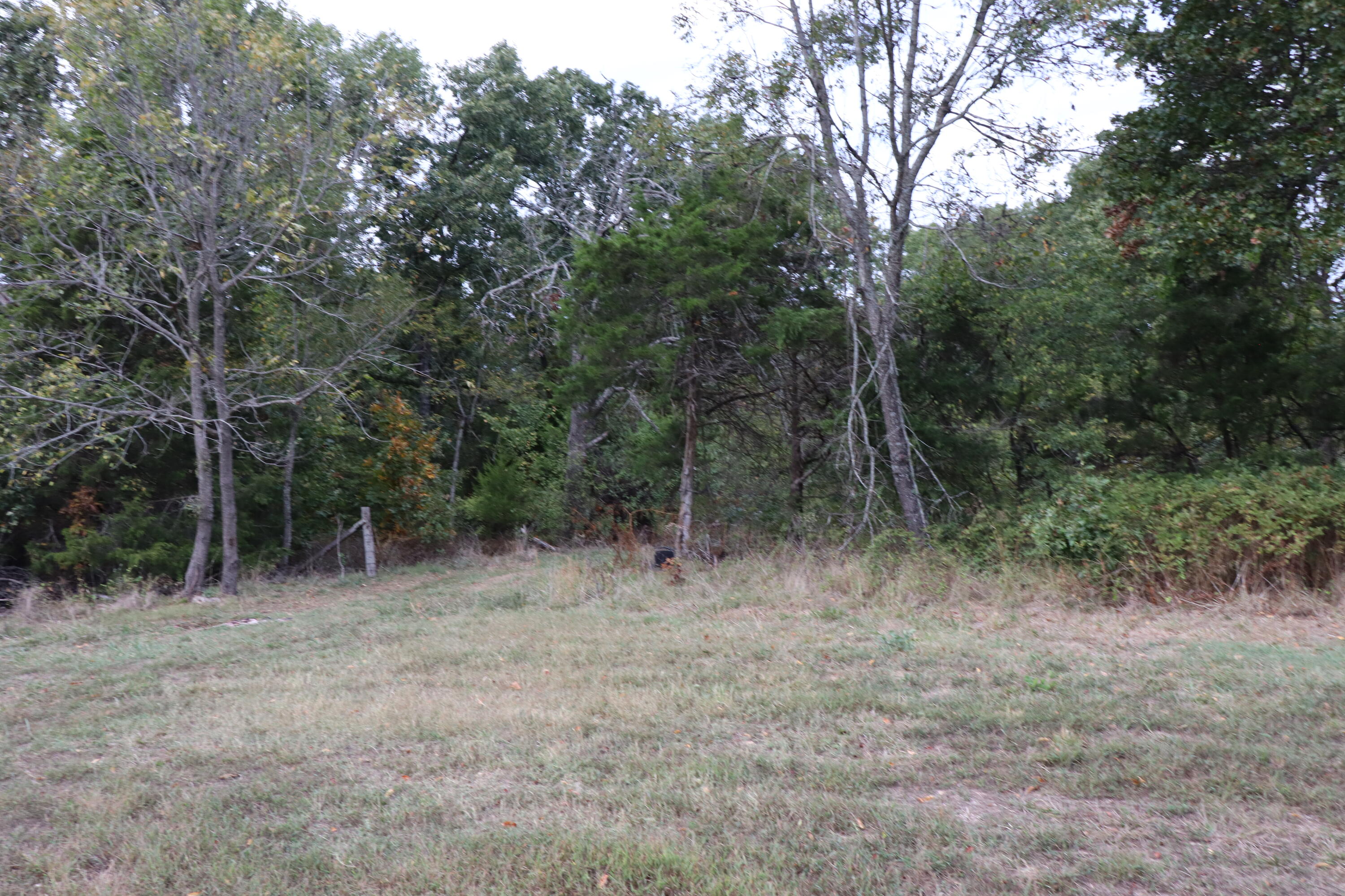 15734 Farm Road 2140 Property Photo 5