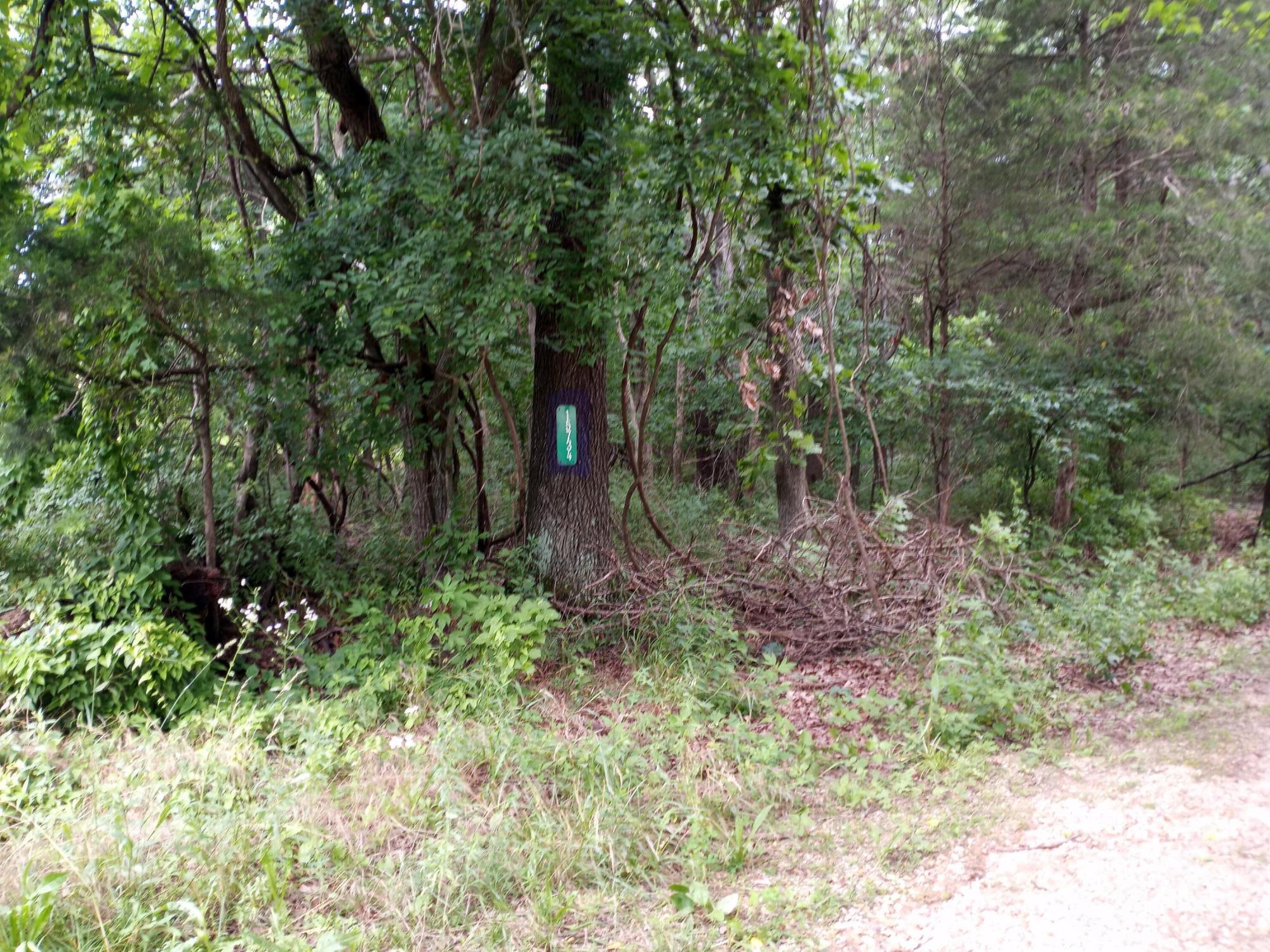 15734 Farm Road 2140 Property Photo 6