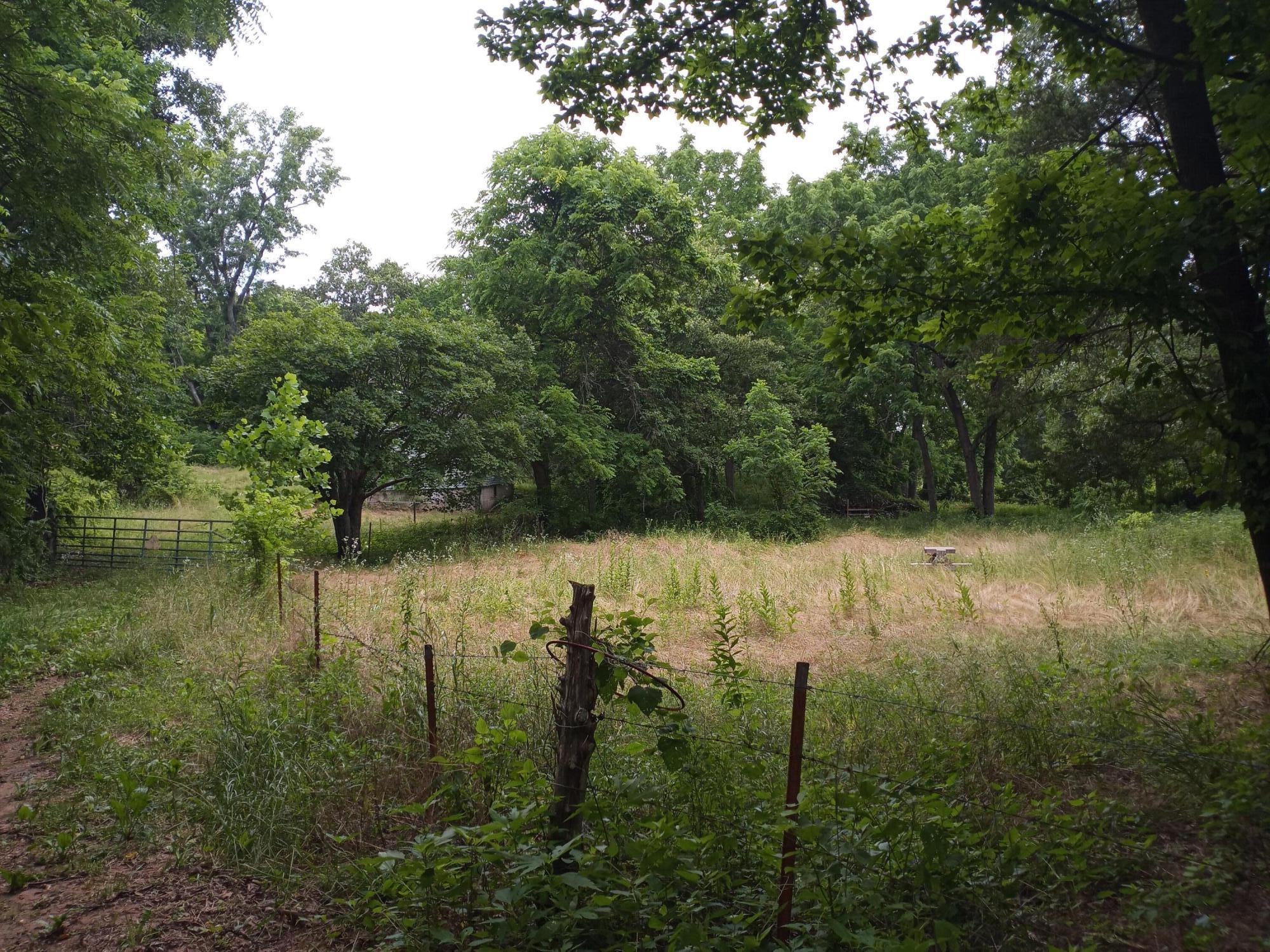 15734 Farm Road 2140 Property Photo 8