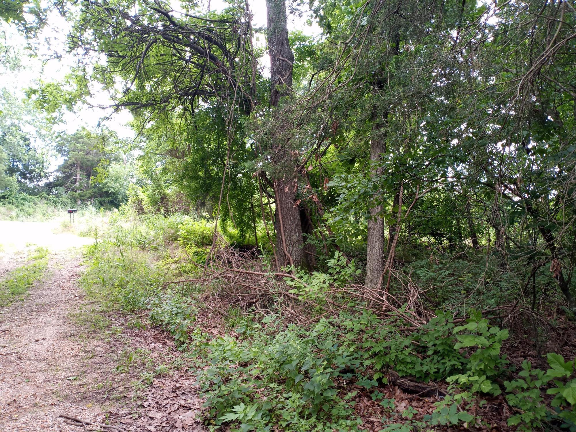 15734 Farm Road 2140 Property Photo 9