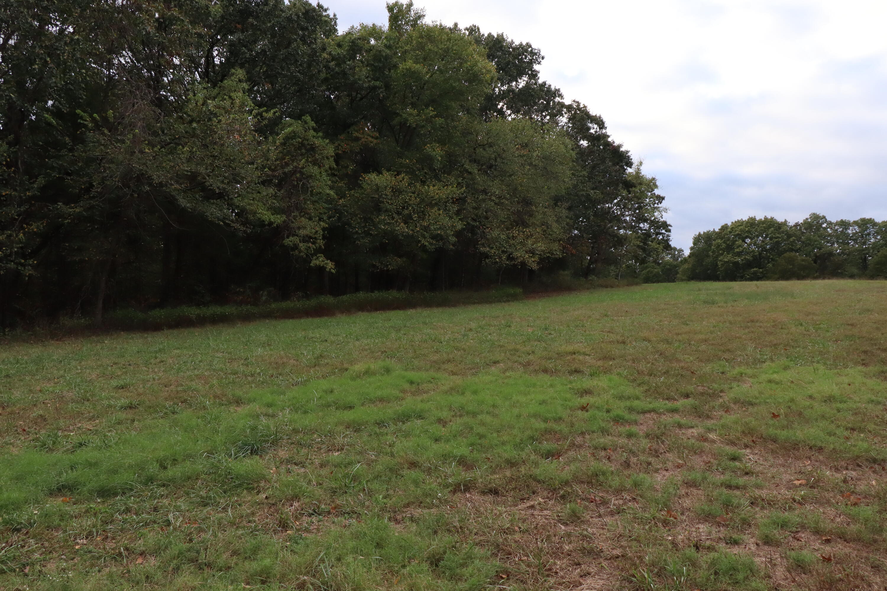 15734 Farm Road 2140 Property Photo 12