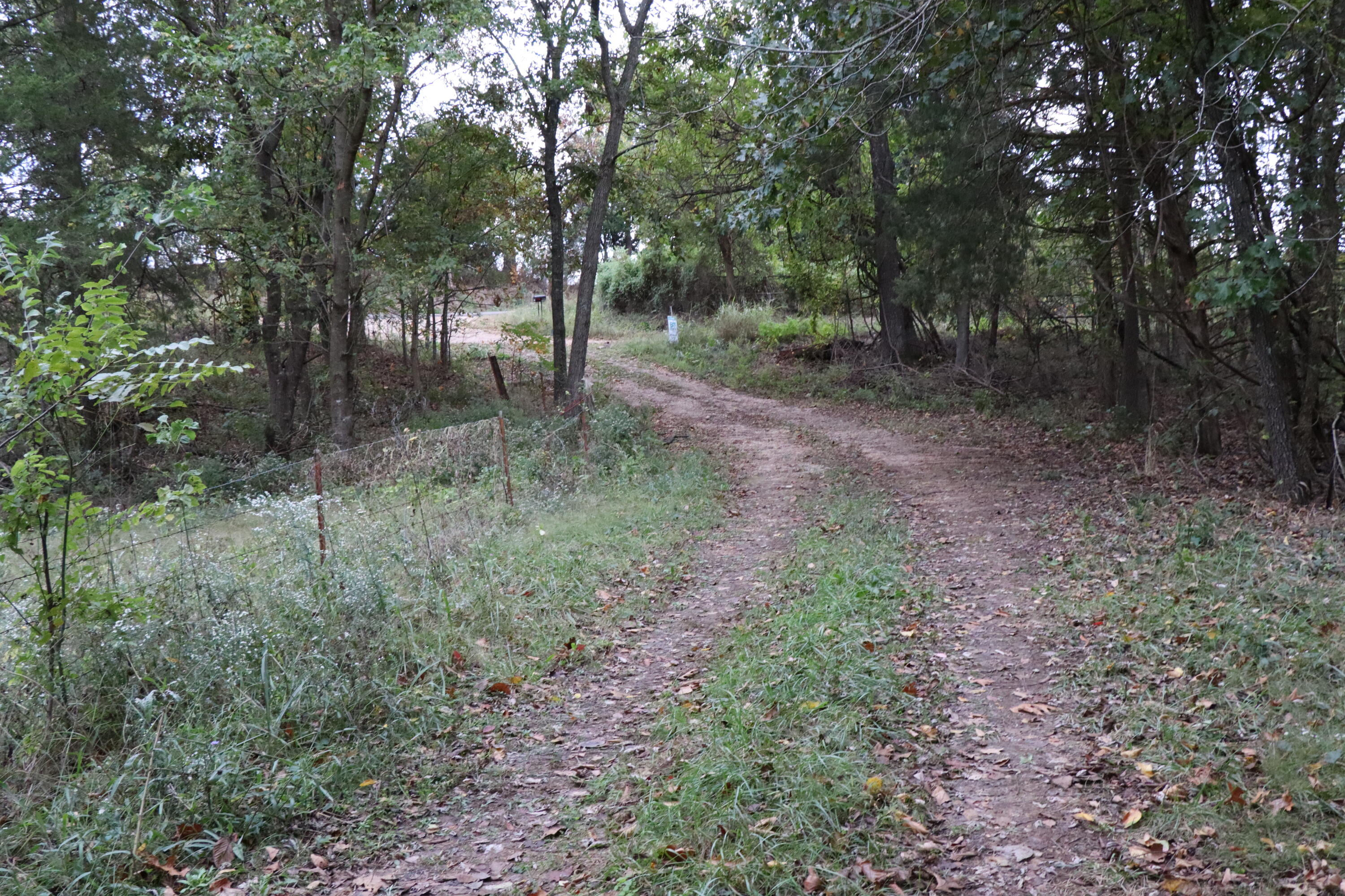 15734 Farm Road 2140 Property Photo 14
