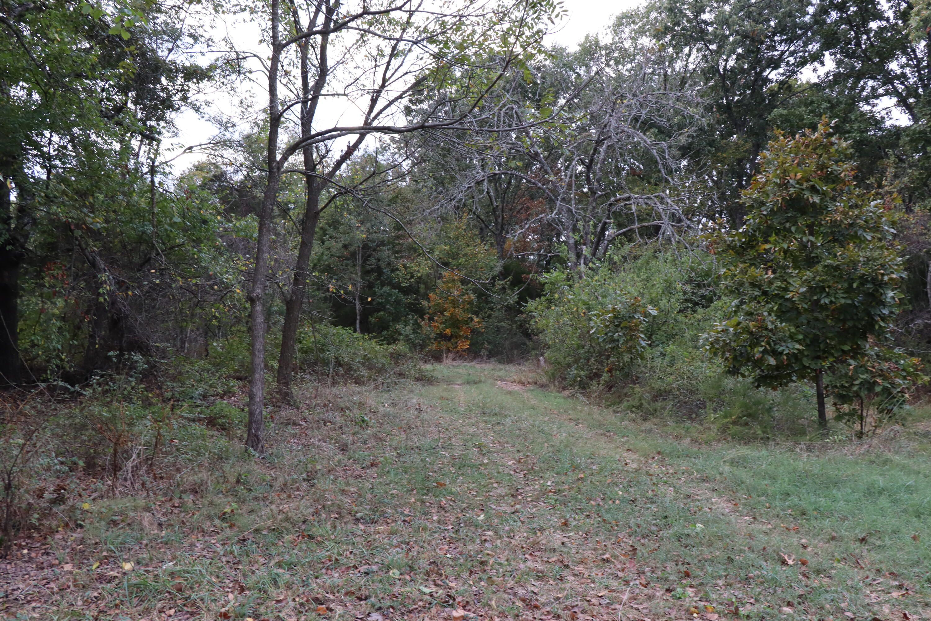 15734 Farm Road 2140 Property Photo 15