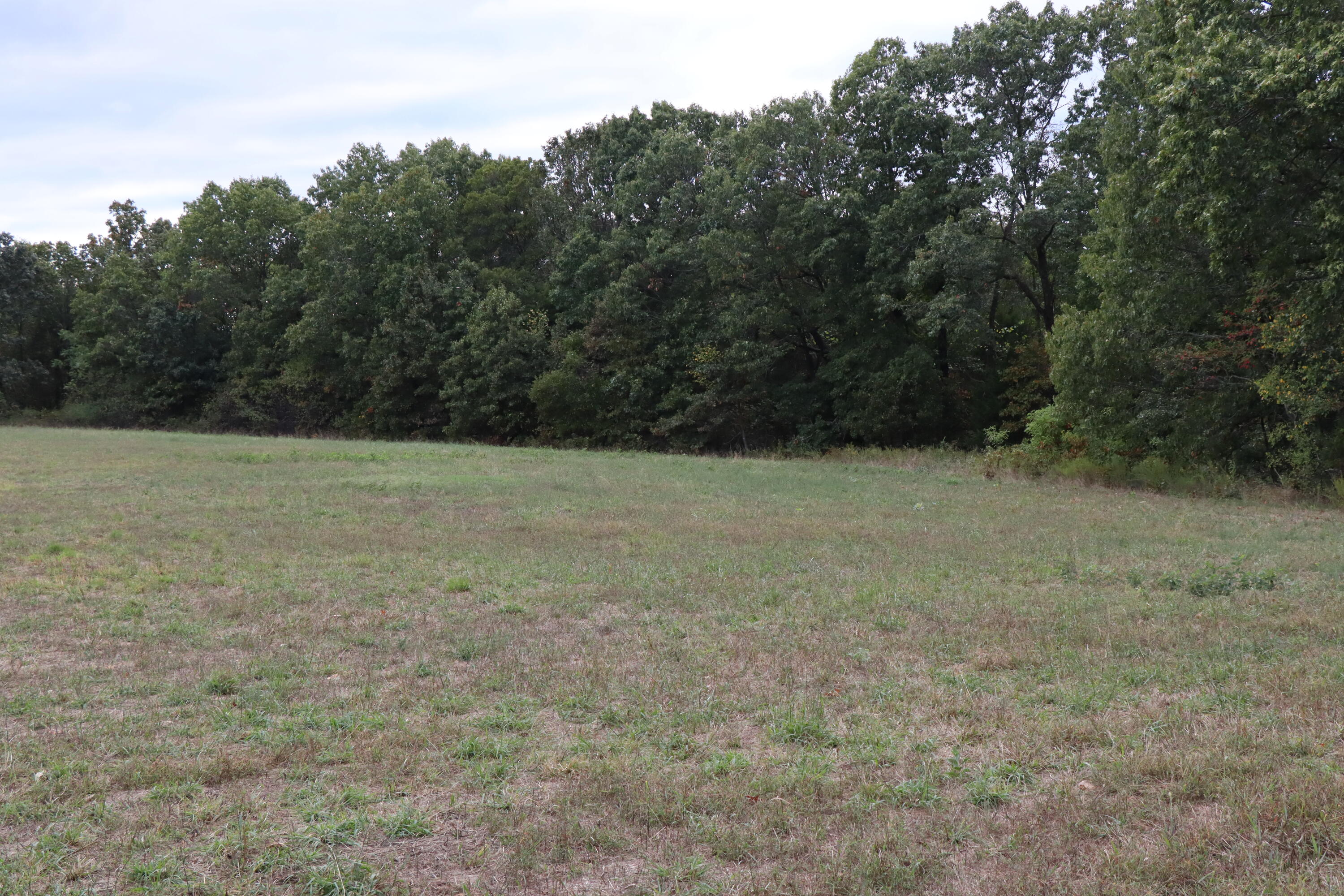15734 Farm Road 2140 Property Photo 18