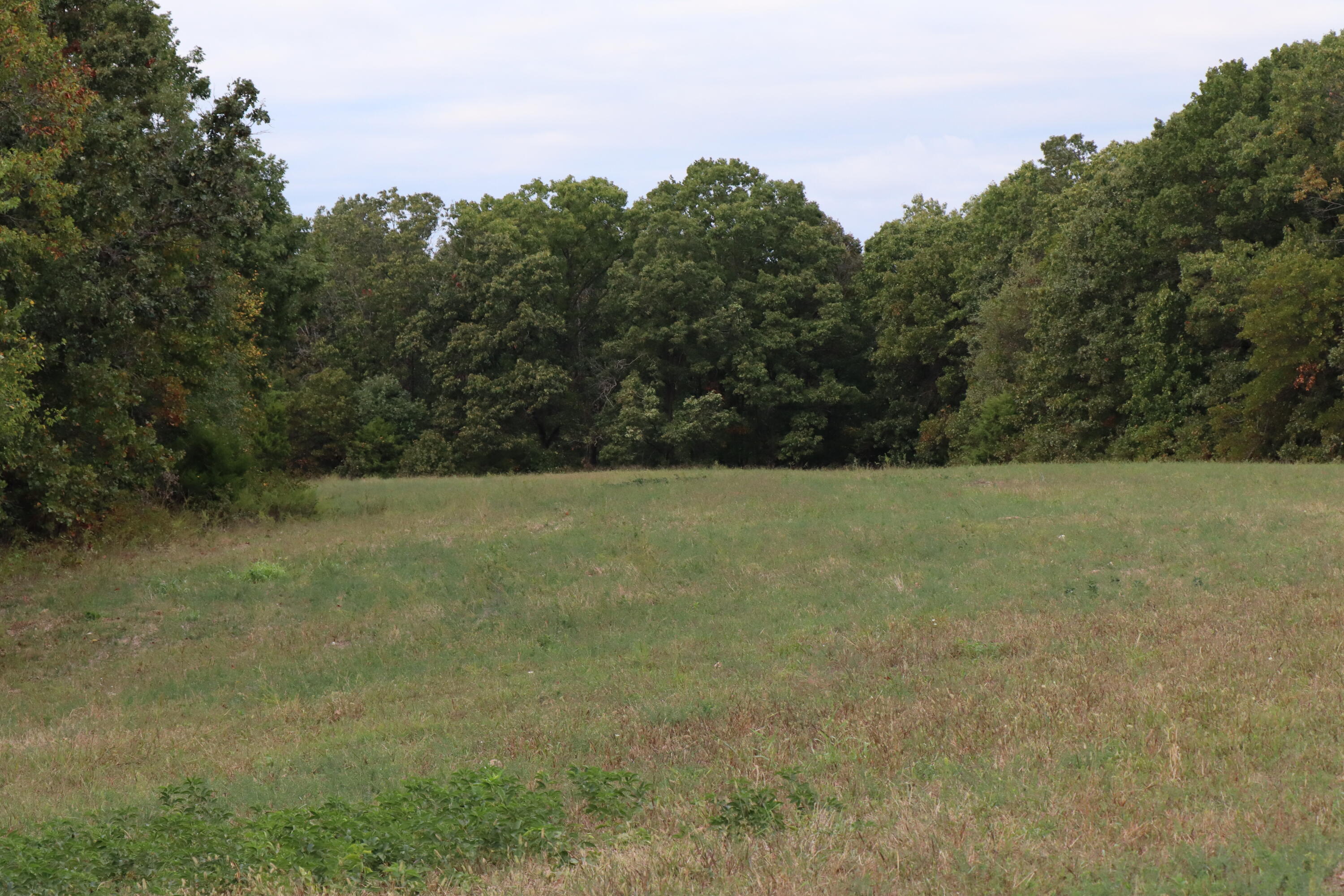 15734 Farm Road 2140 Property Photo 20