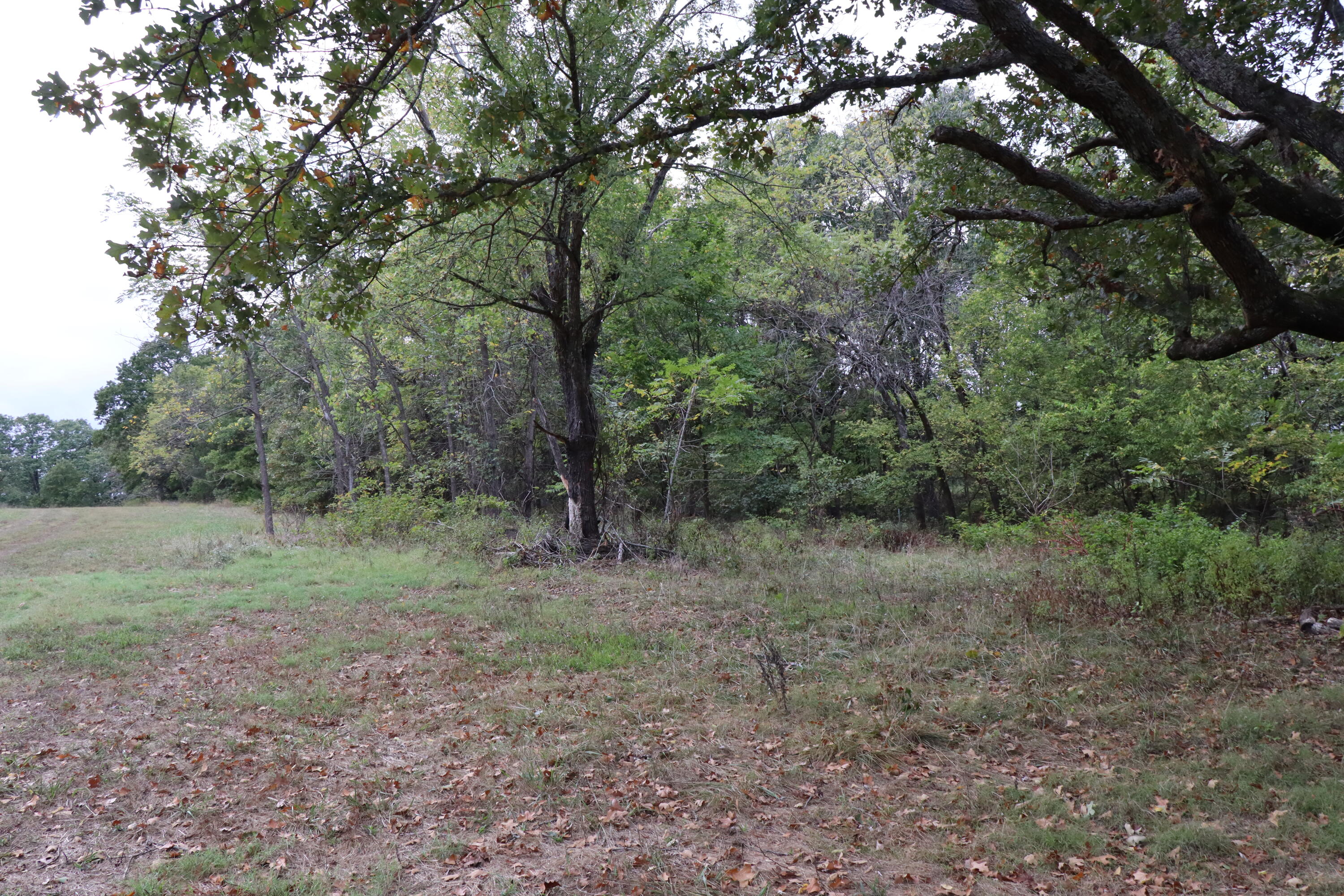 15734 Farm Road 2140 Property Photo 23