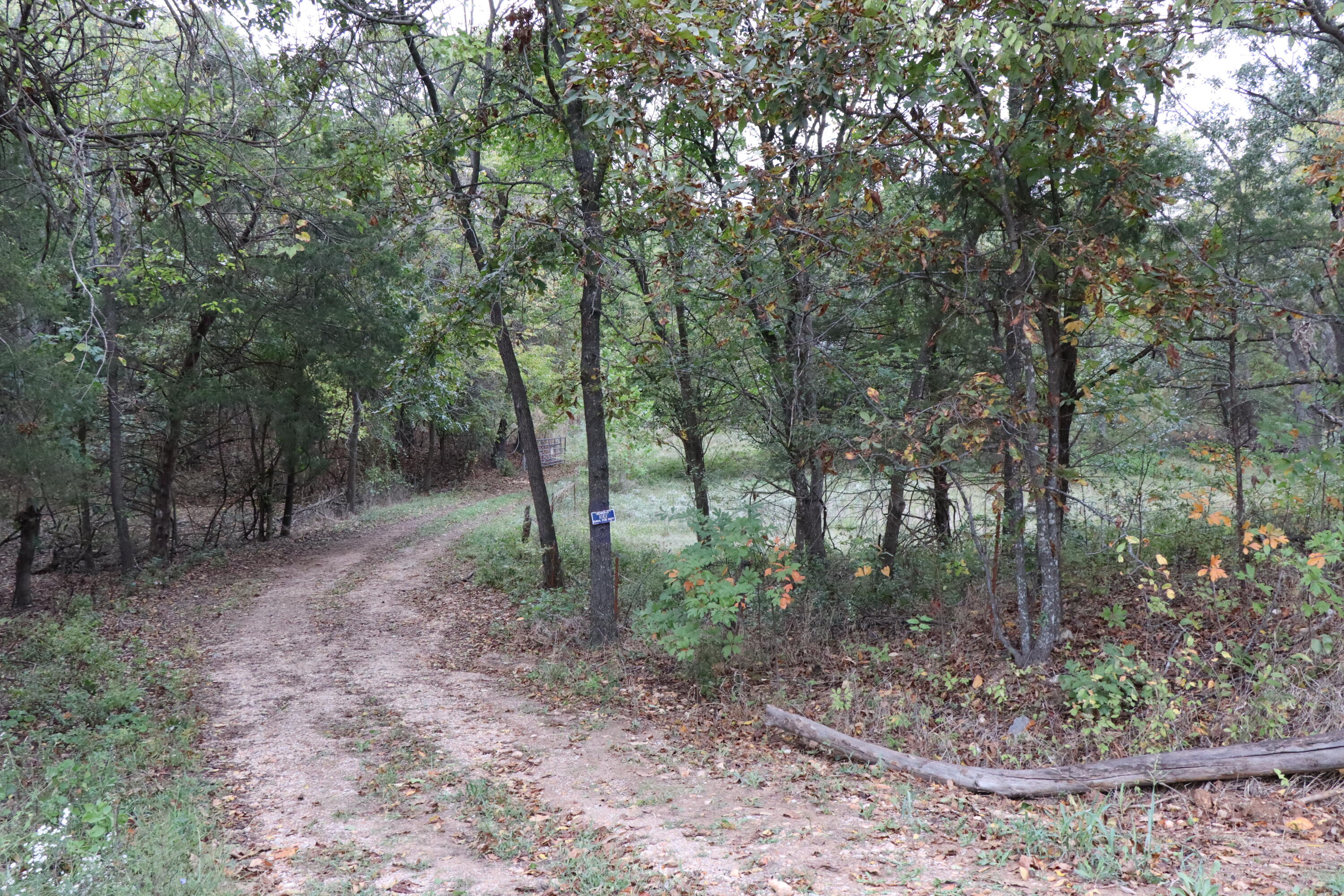 15734 Farm Road 2140 Property Photo 25