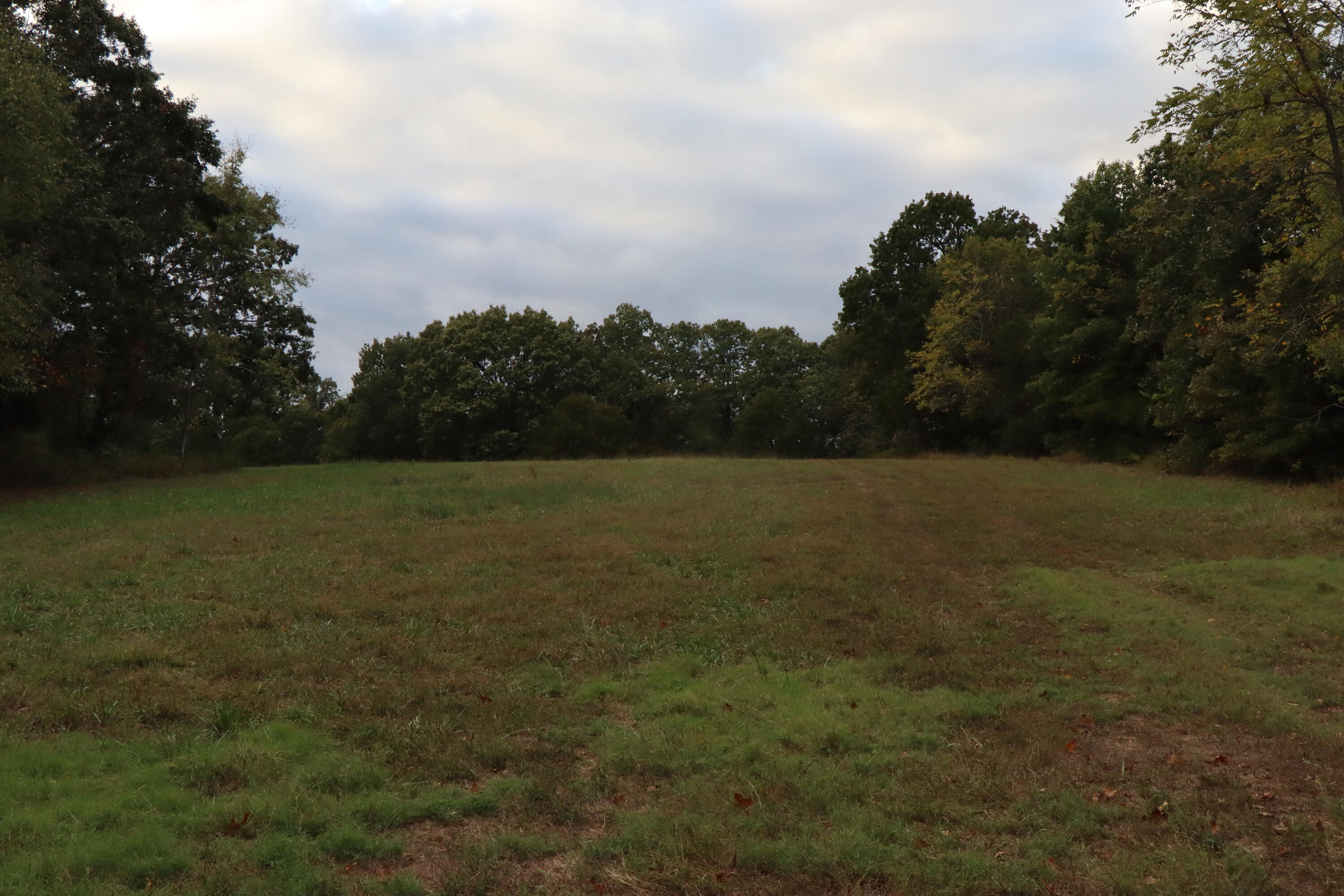 15734 Farm Road 2140 Property Photo 26