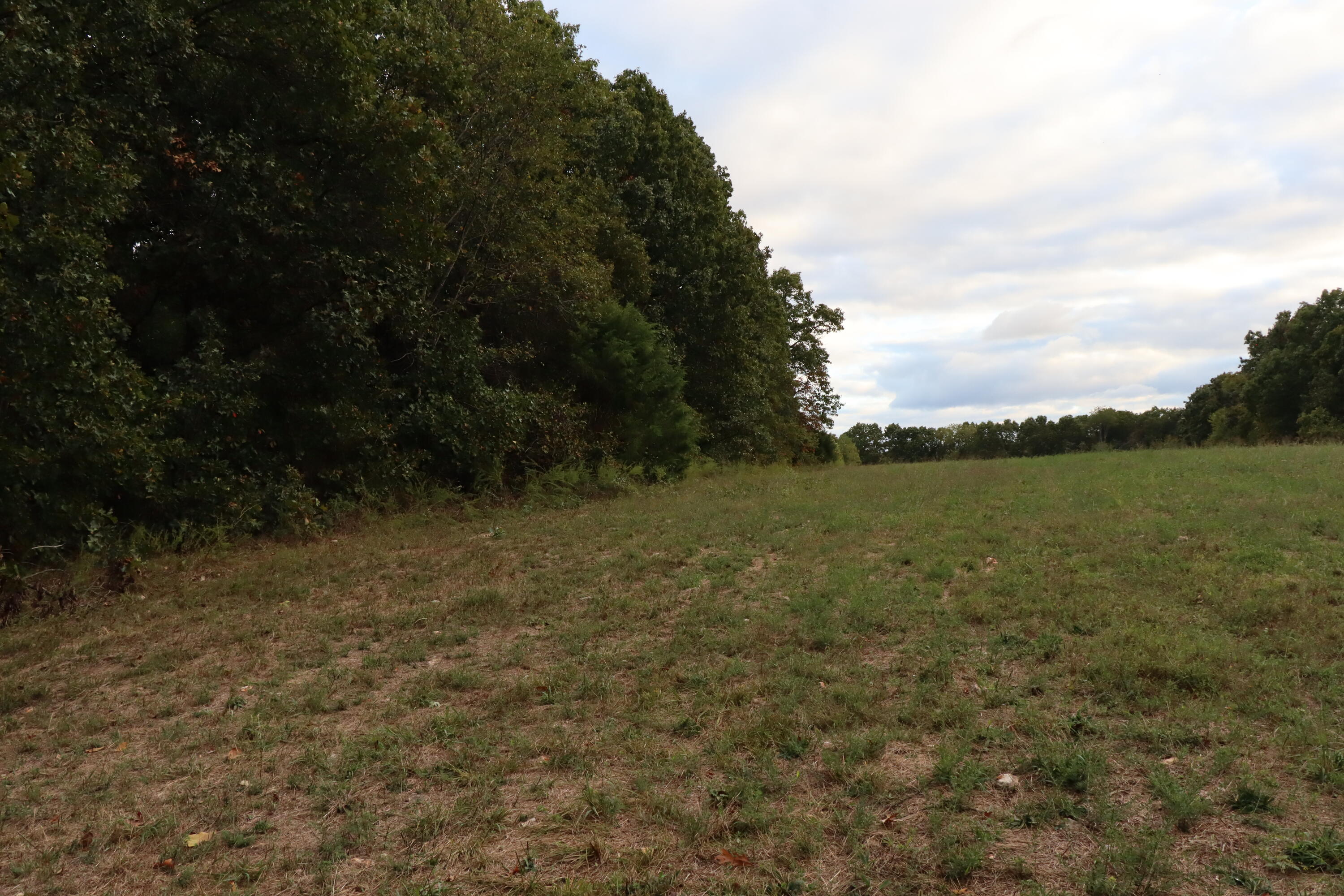 15734 Farm Road 2140 Property Photo 29
